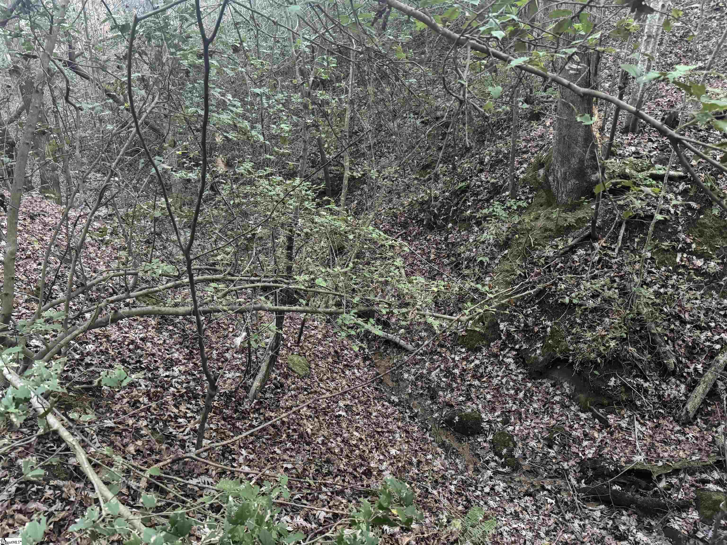 38 Old Plantation Road Property Photo 16