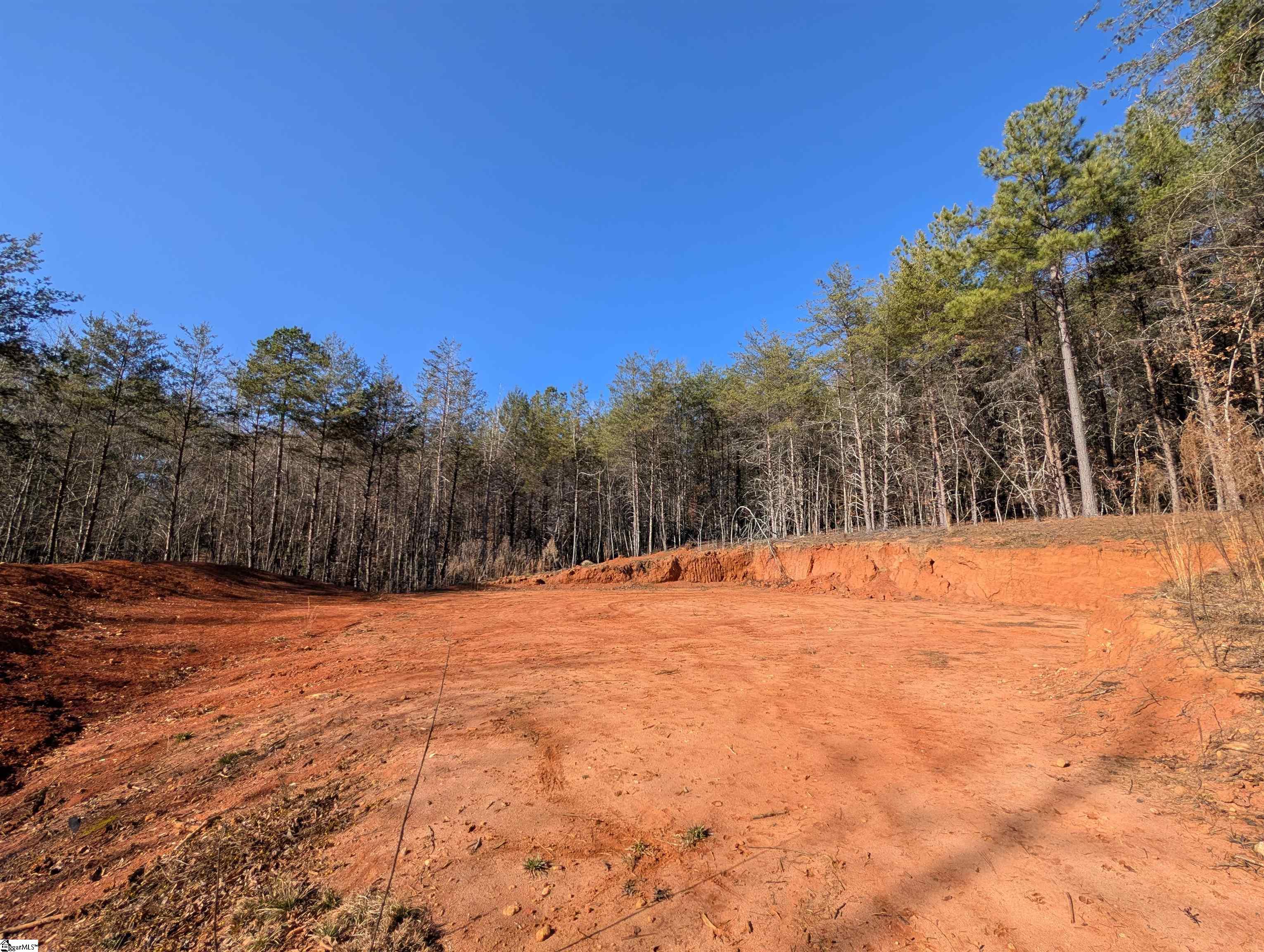 2475 Pumpkintown Highway Property Photo 6