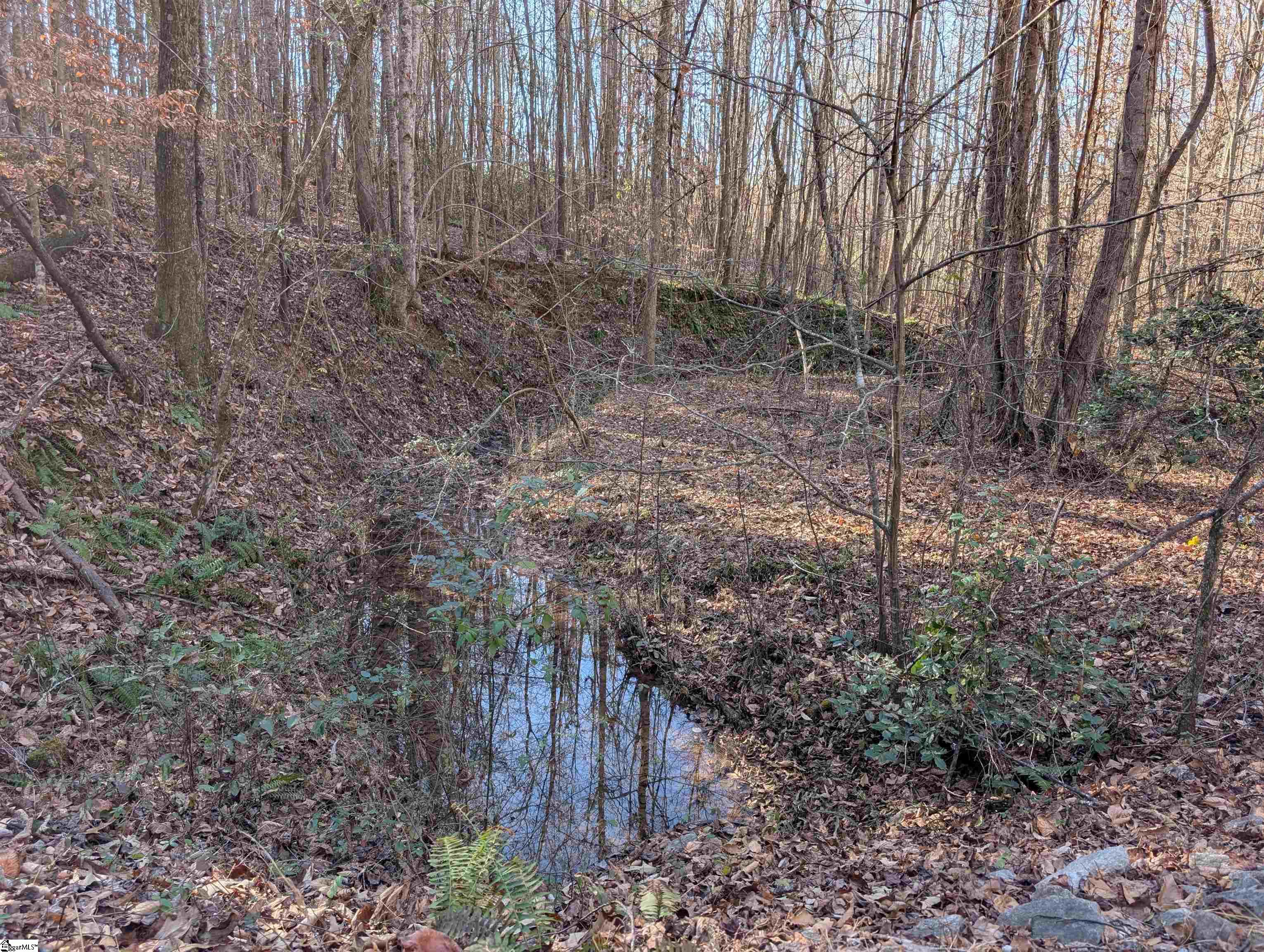 2475 Pumpkintown Highway Property Photo 8