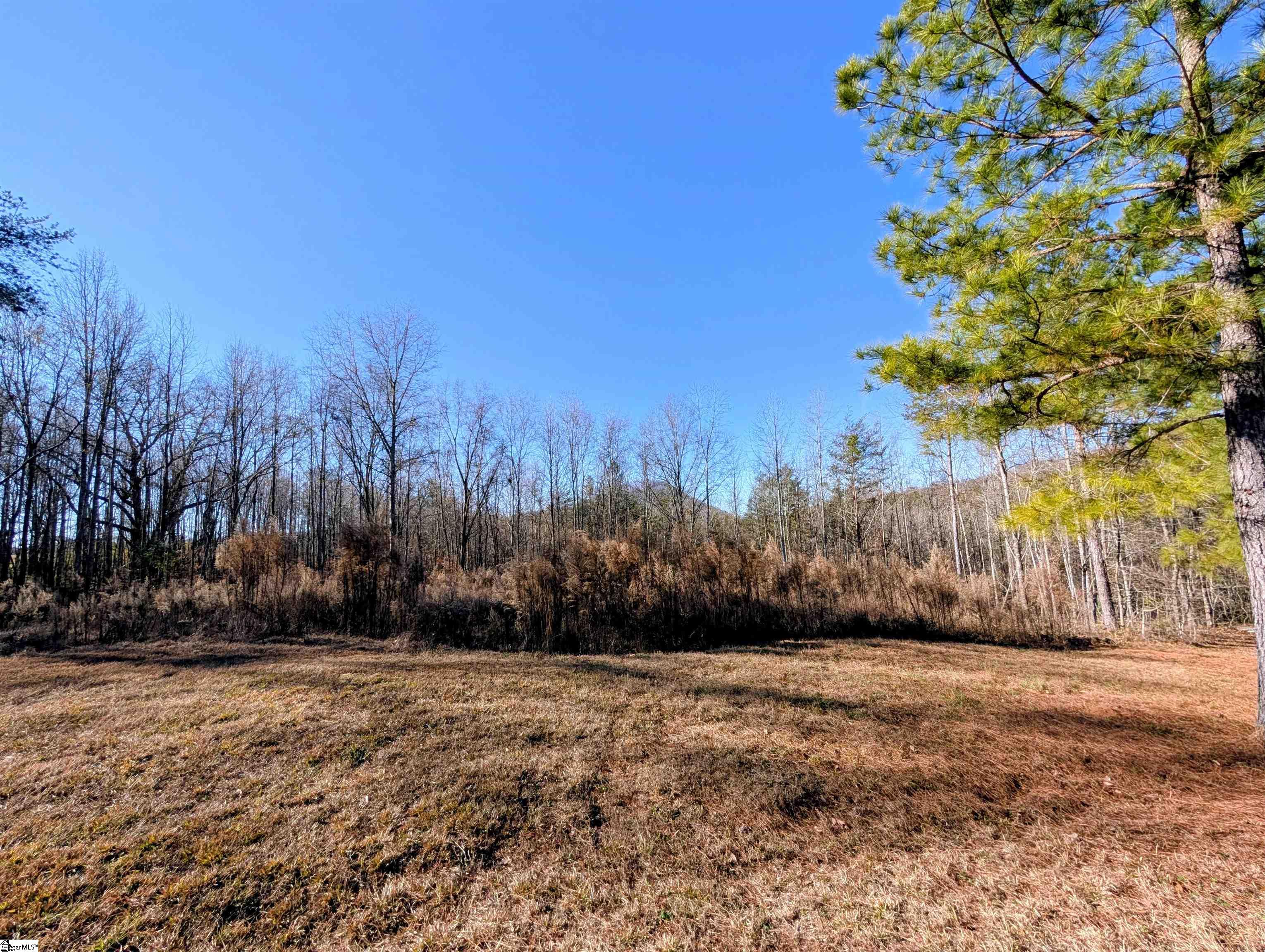 2475 Pumpkintown Highway Property Photo 9