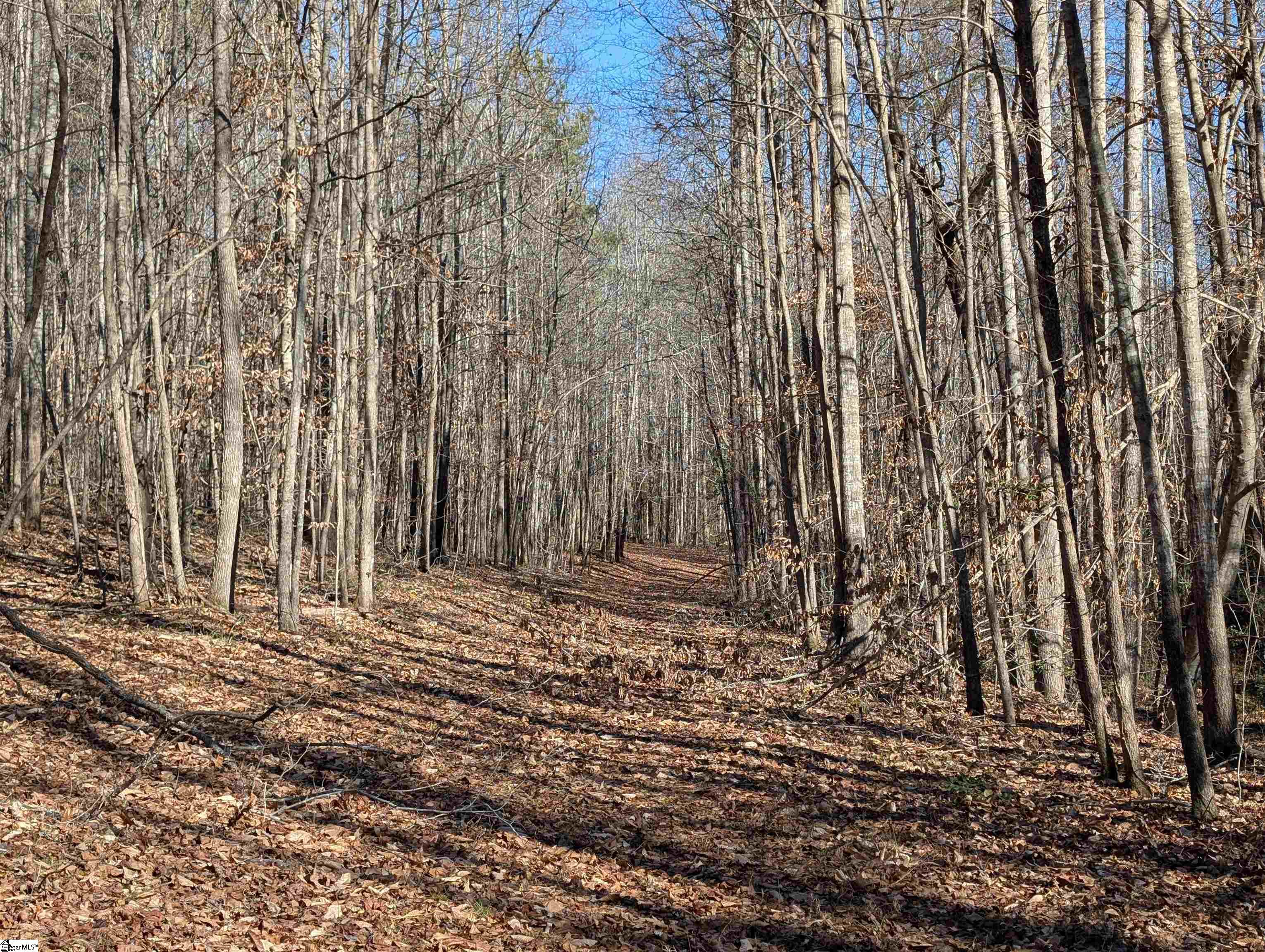 2475 Pumpkintown Highway Property Photo 34