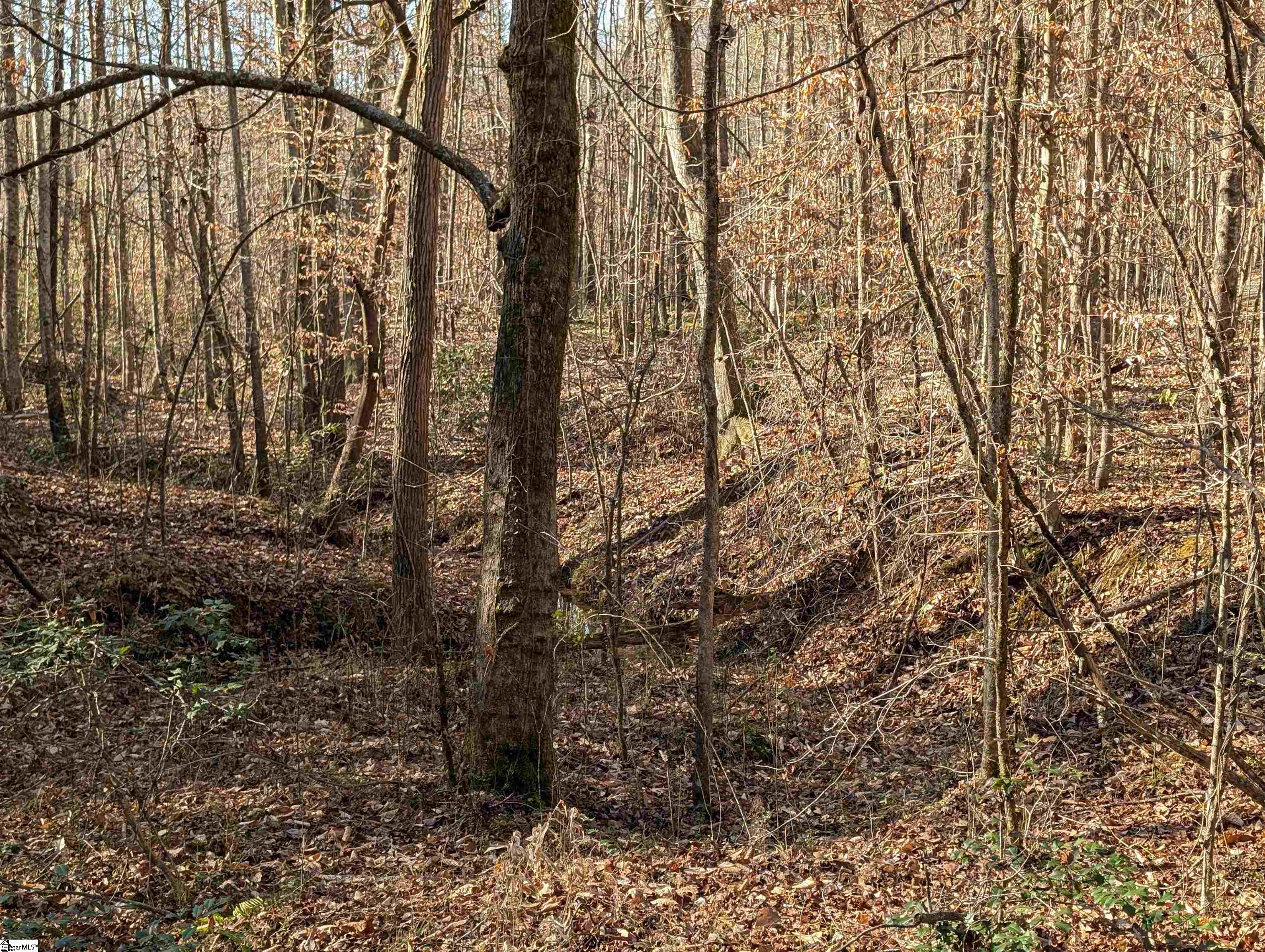 2475 Pumpkintown Highway Property Photo 36