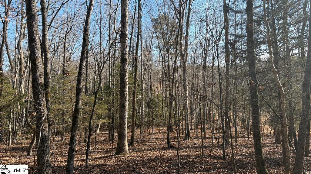 00 Painter Road Property Photo 16