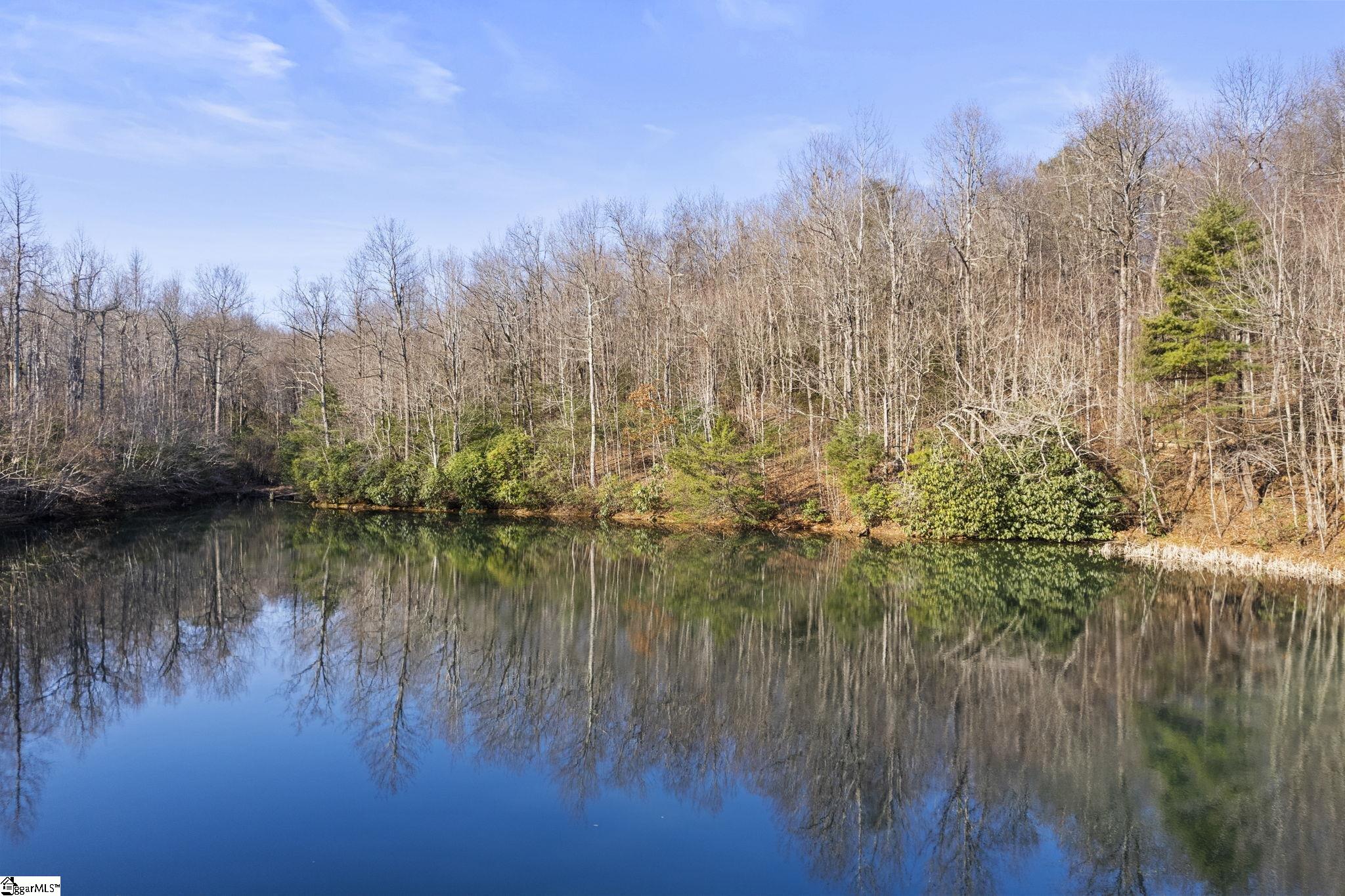 10 Rhetts Ridge Property Photo 3