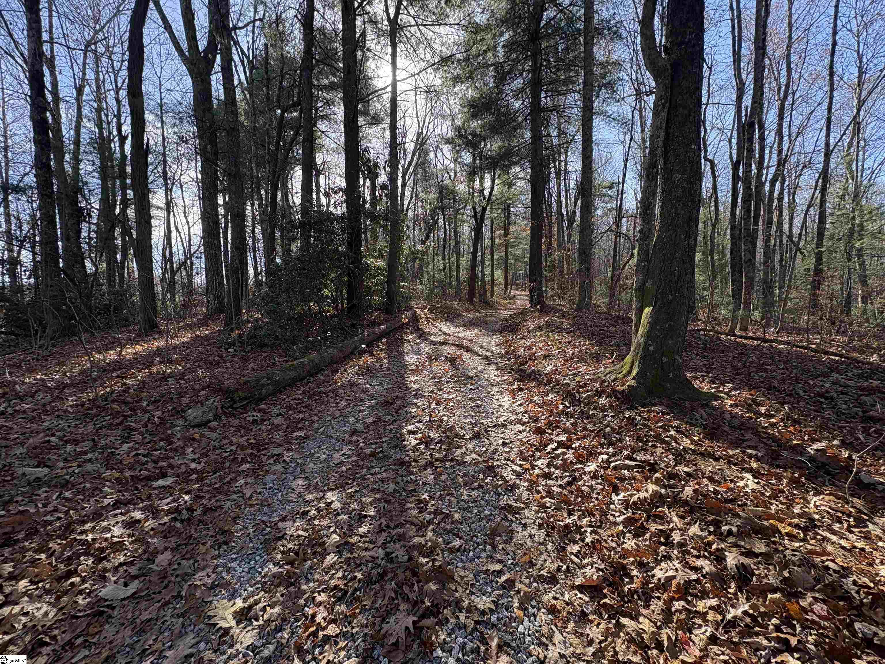 10 Rhetts Ridge Property Photo 4