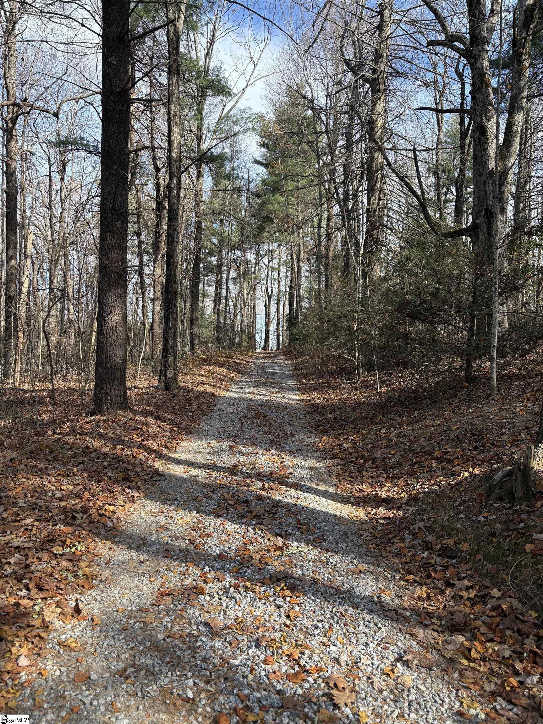 10 Rhetts Ridge Property Photo 5