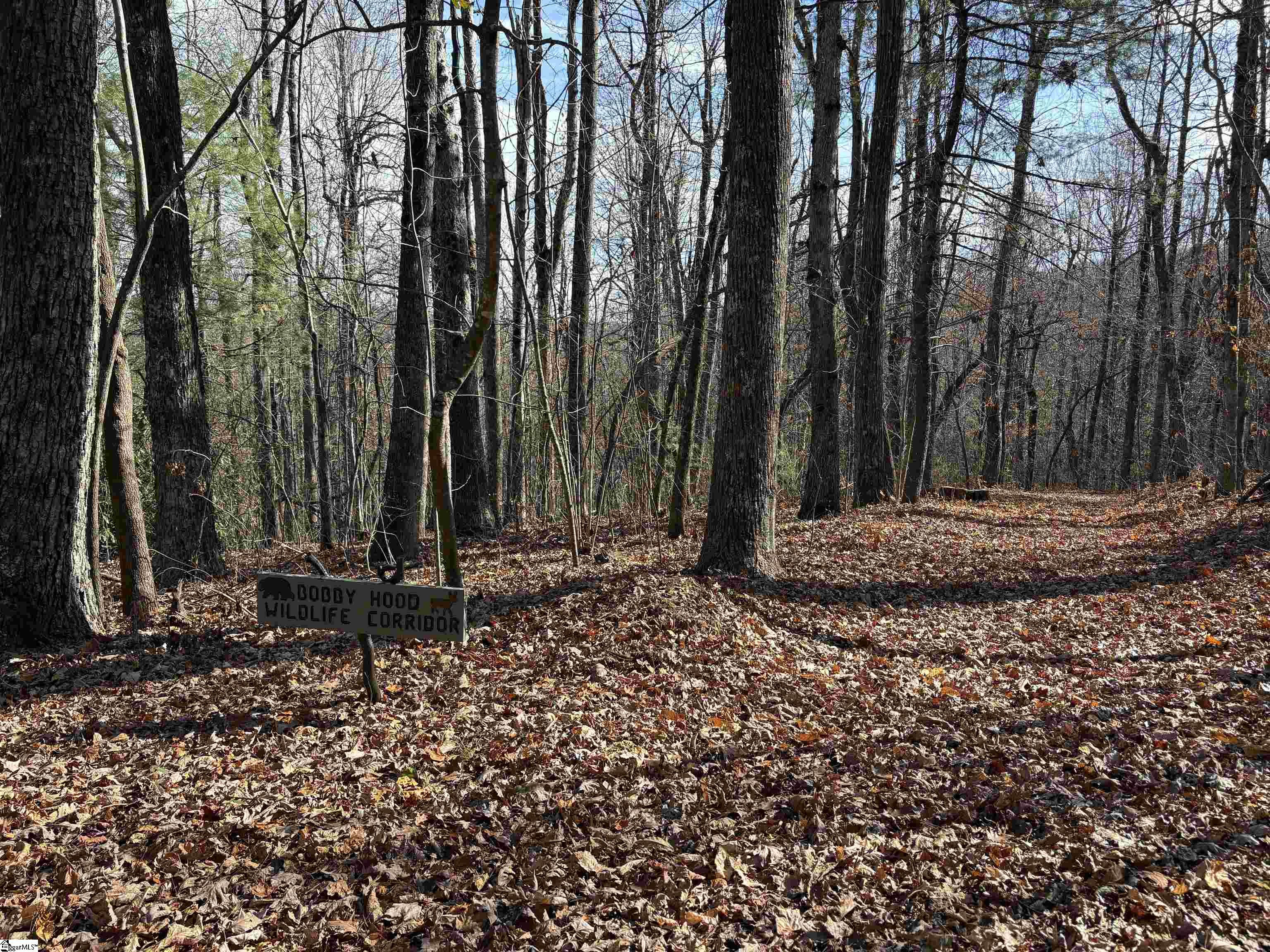 10 Rhetts Ridge Property Photo 6