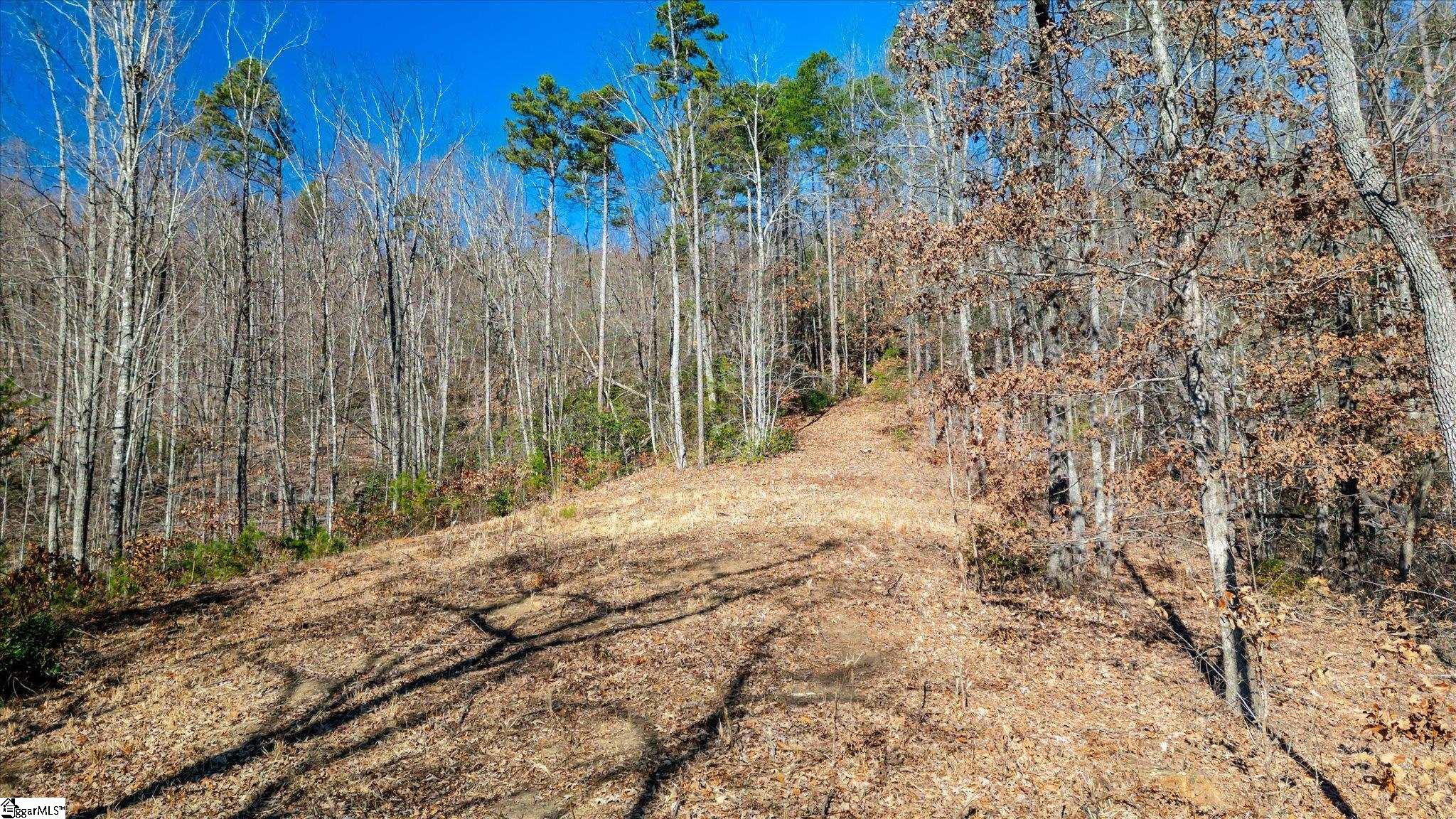 00 Wind River Trail Property Photo 3