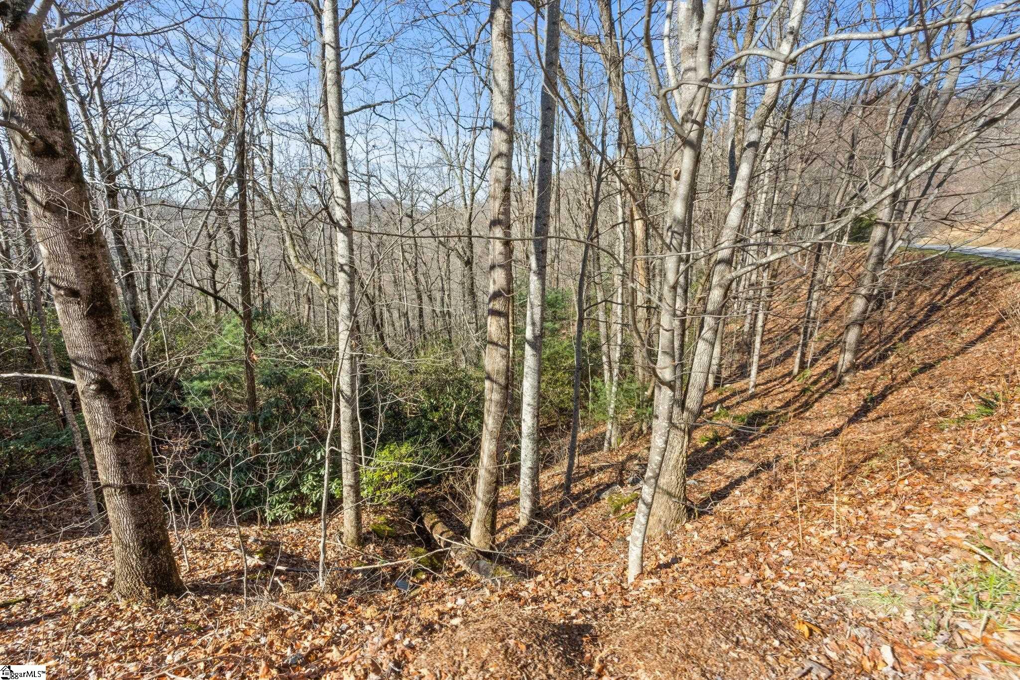 1315 Mountain Summit Road Property Photo 20