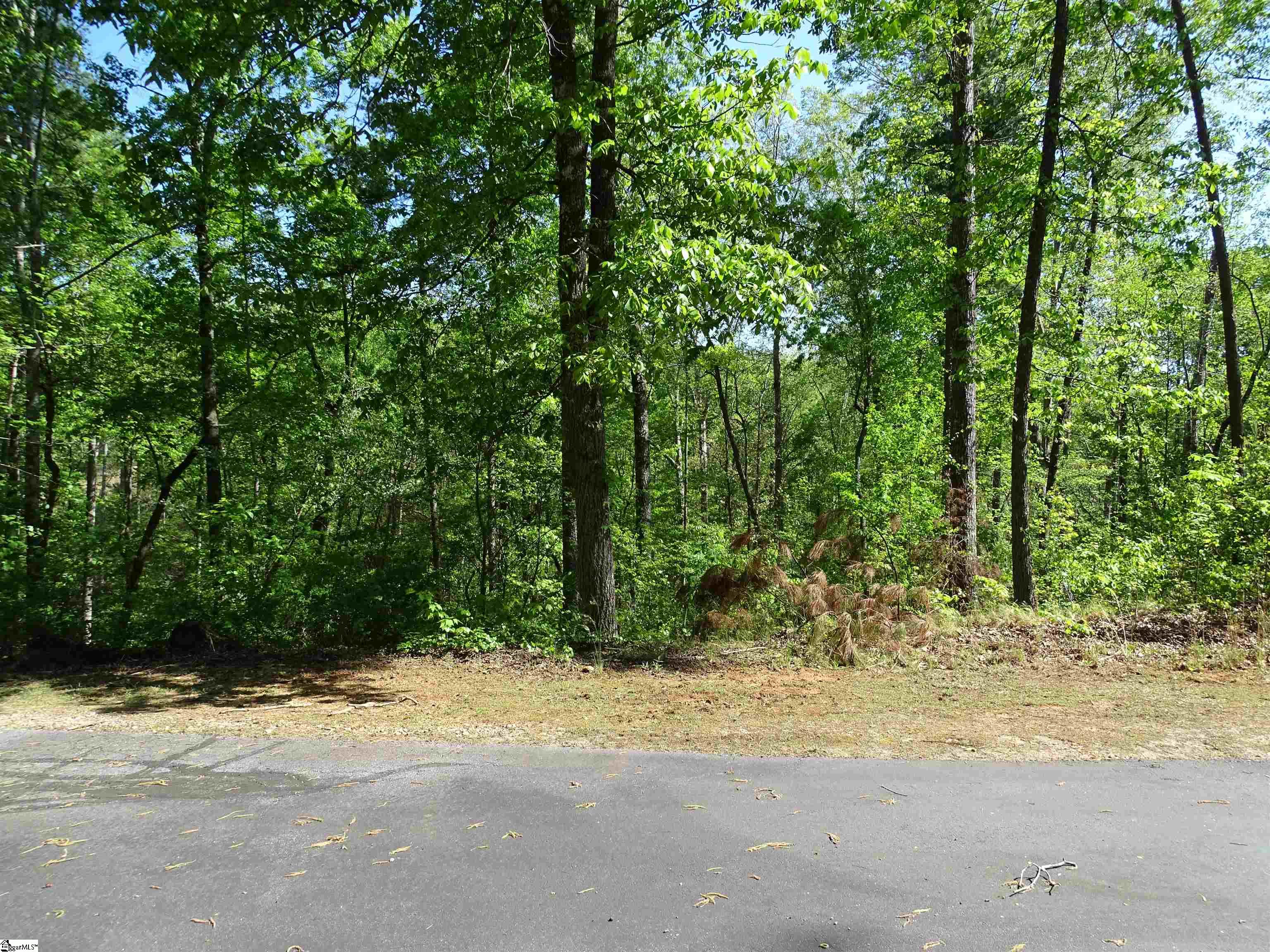 216 Gabriel Way Property Photo 6