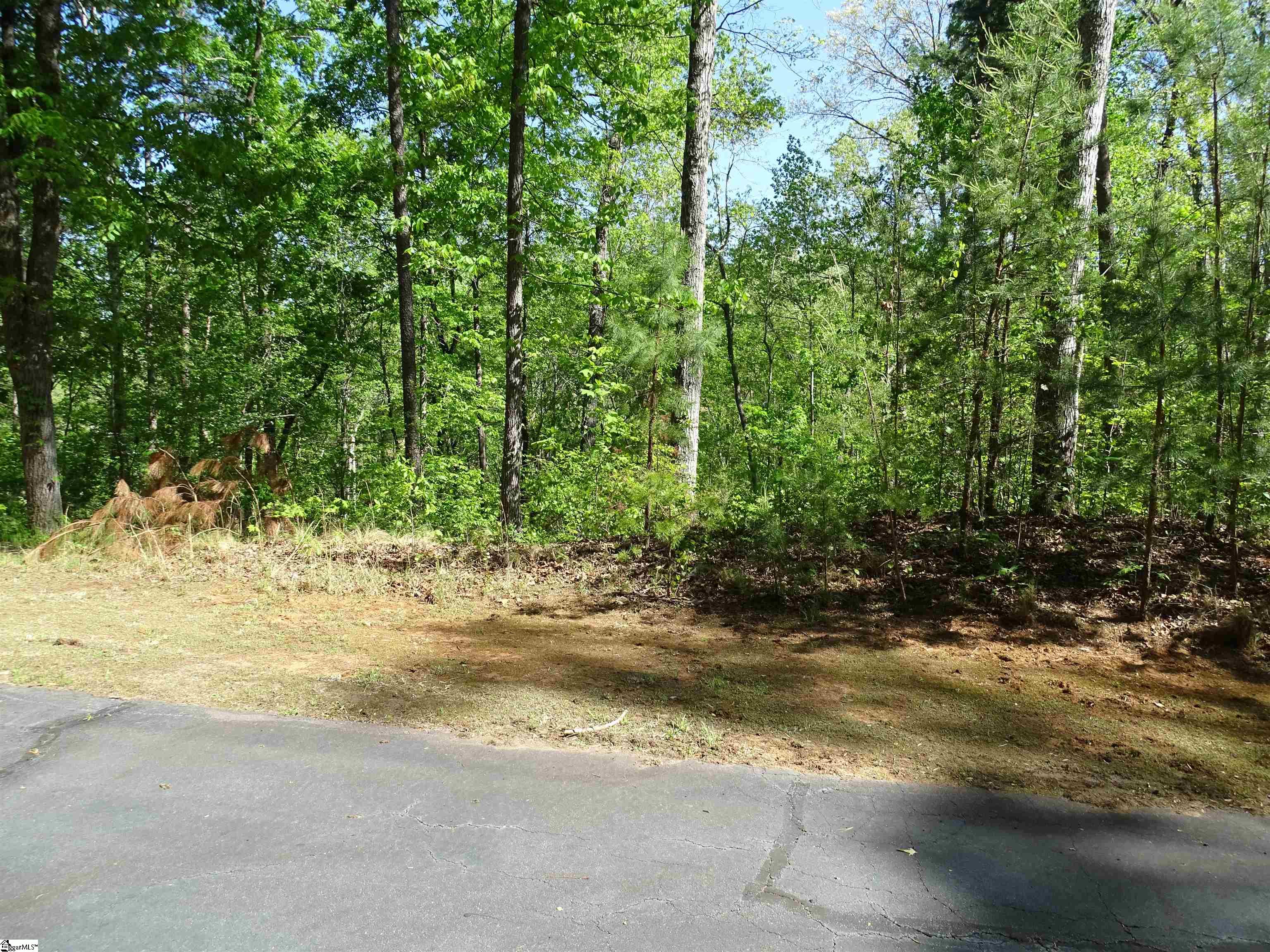 216 Gabriel Way Property Photo 7