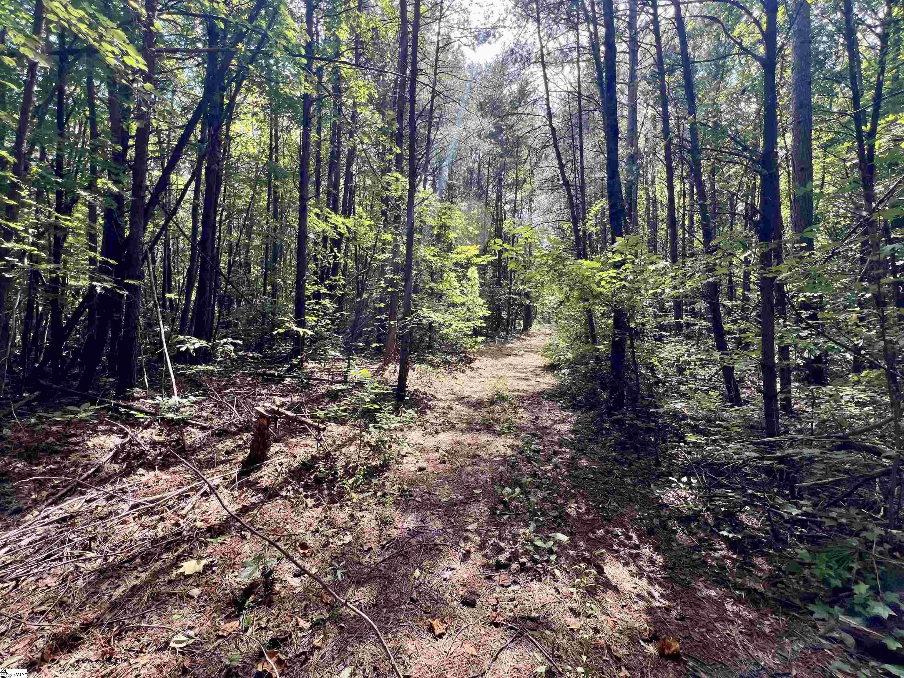 0 Chinquapin Road Property Photo 7