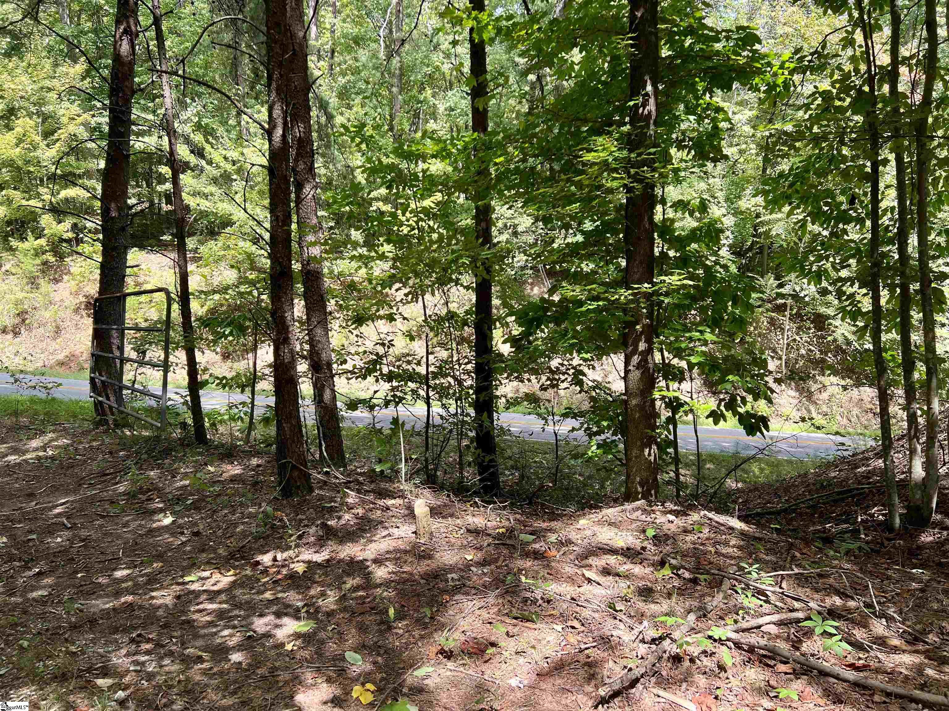 0 Chinquapin Road Property Photo 9