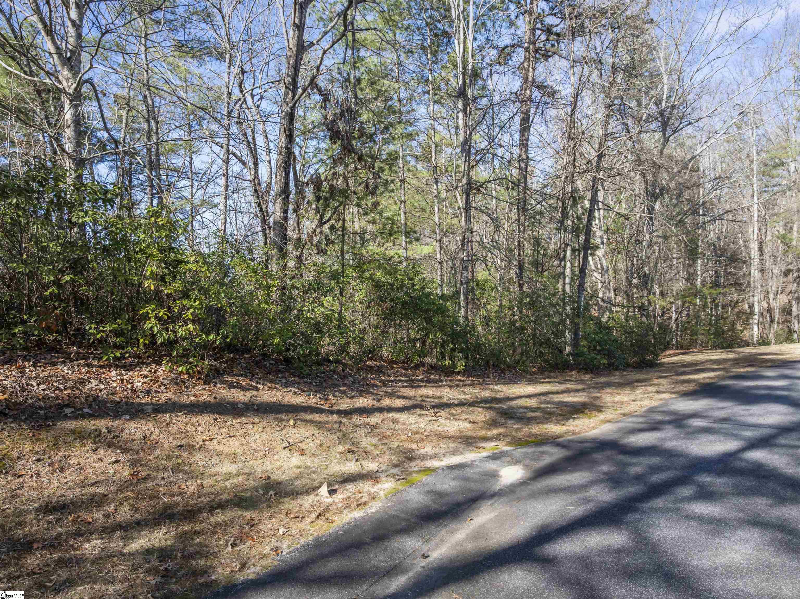 1579985 Property Photo 4