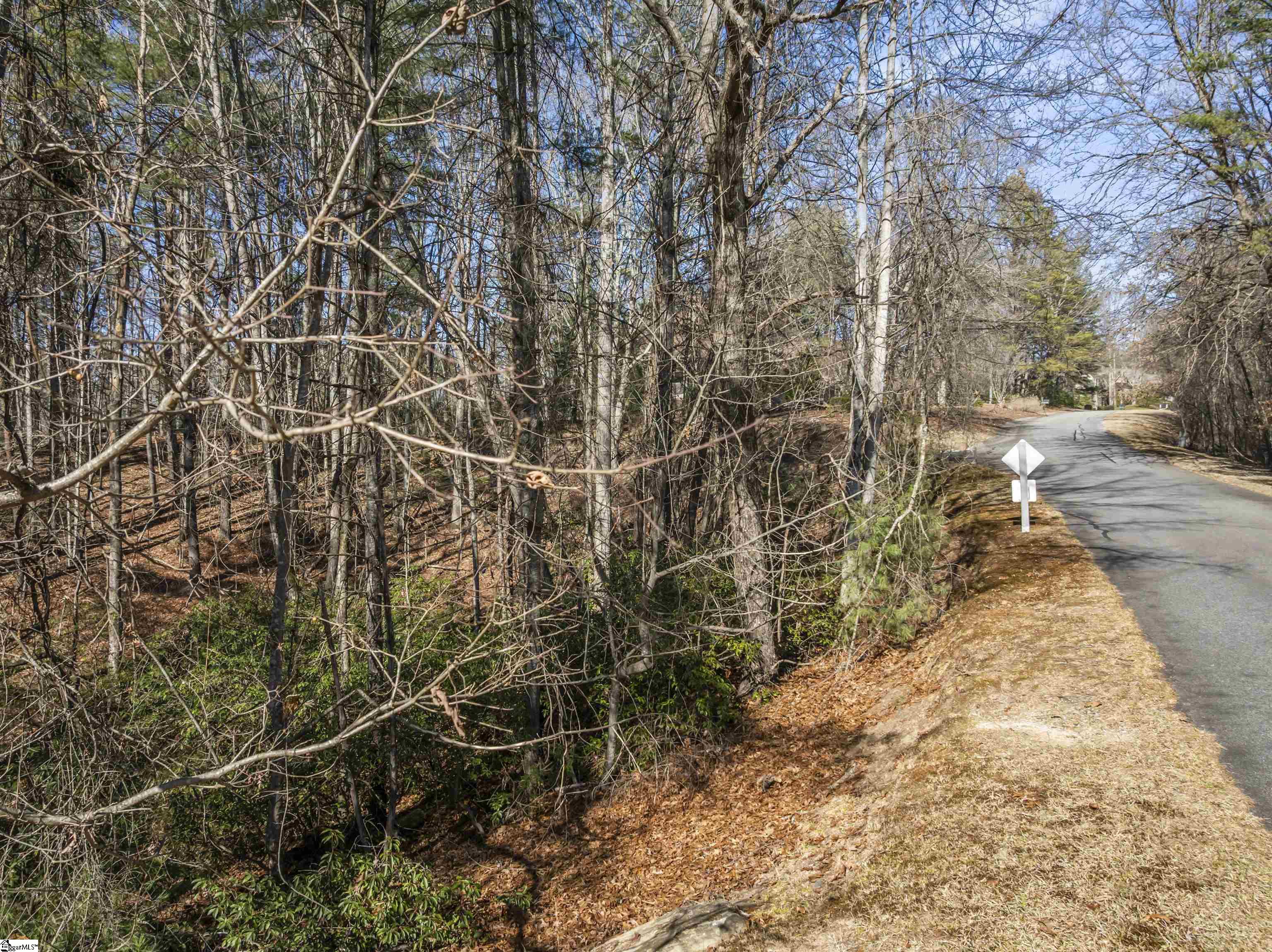 1579985 Property Photo 6