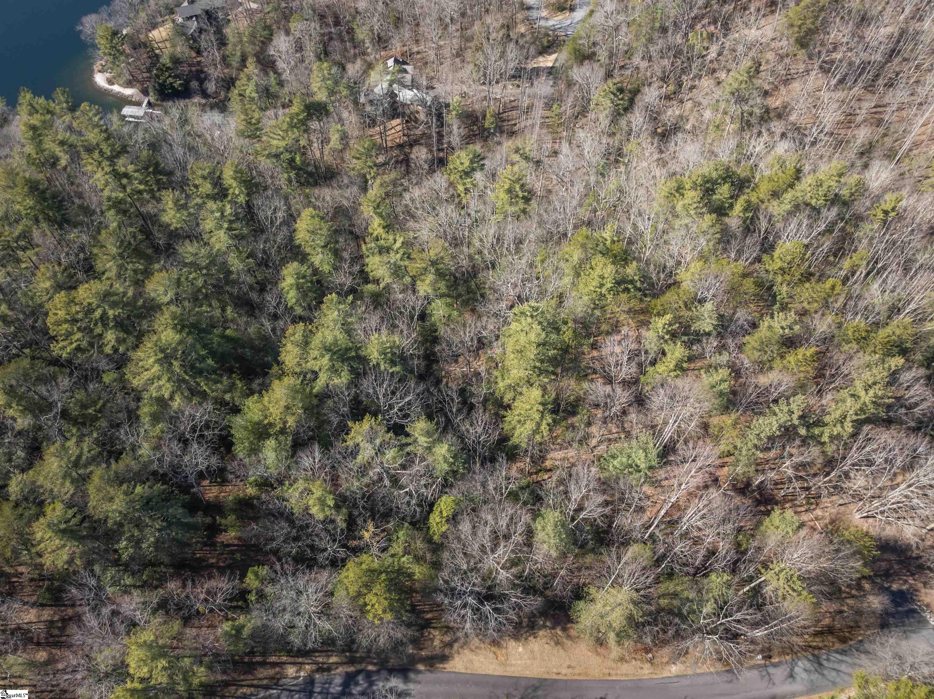 1579985 Property Photo 7