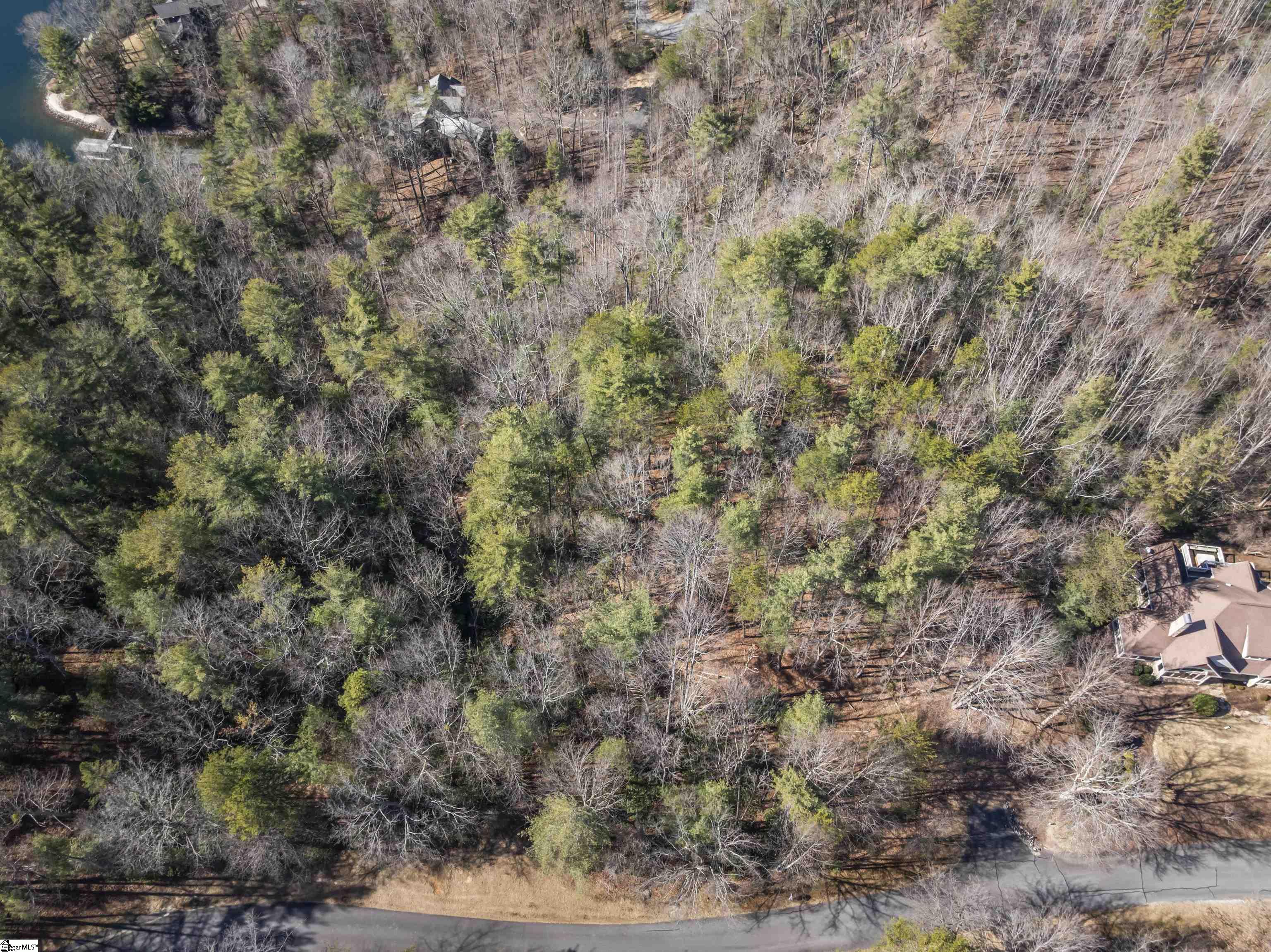 1579985 Property Photo 8
