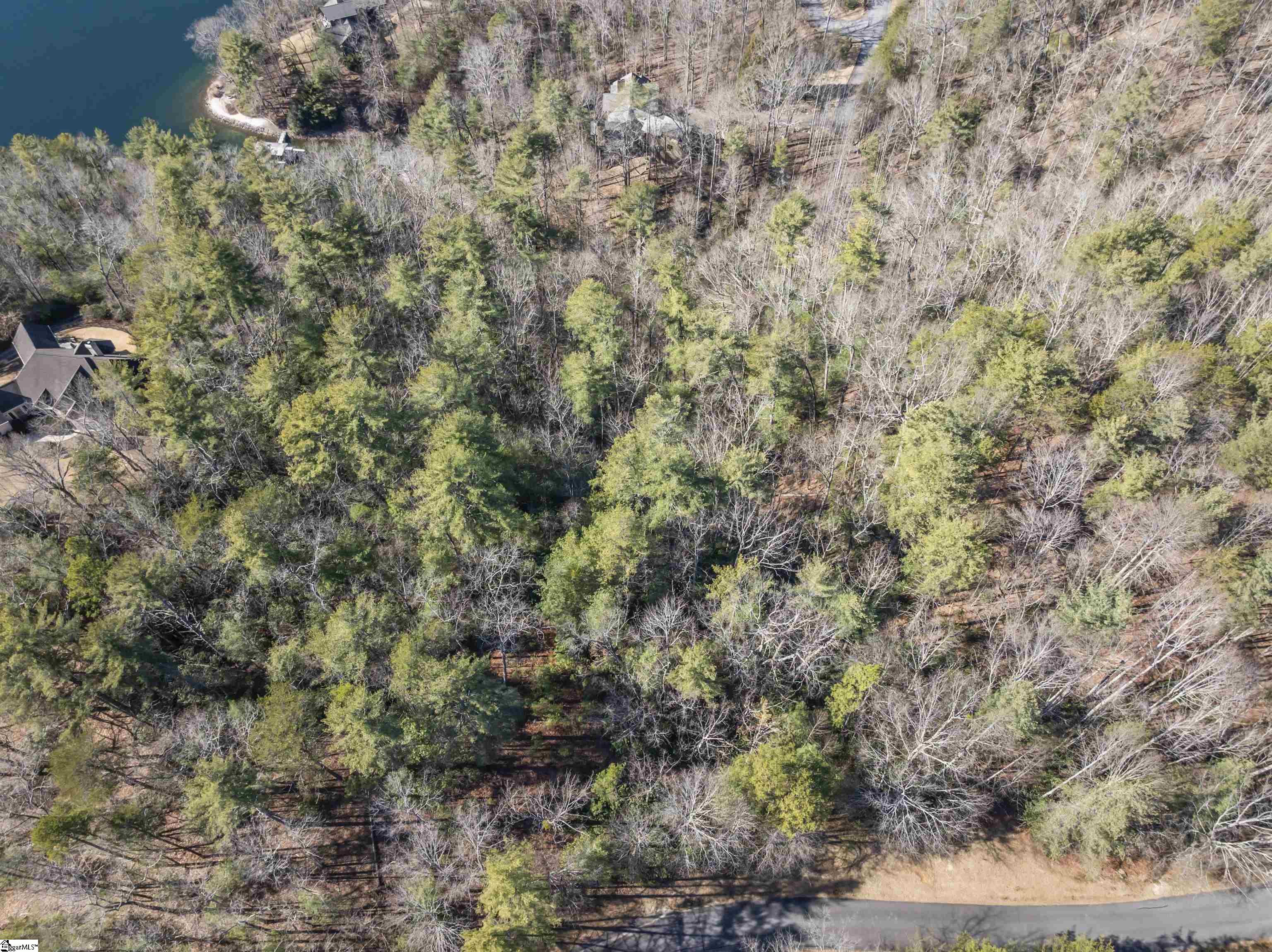 1579985 Property Photo 9
