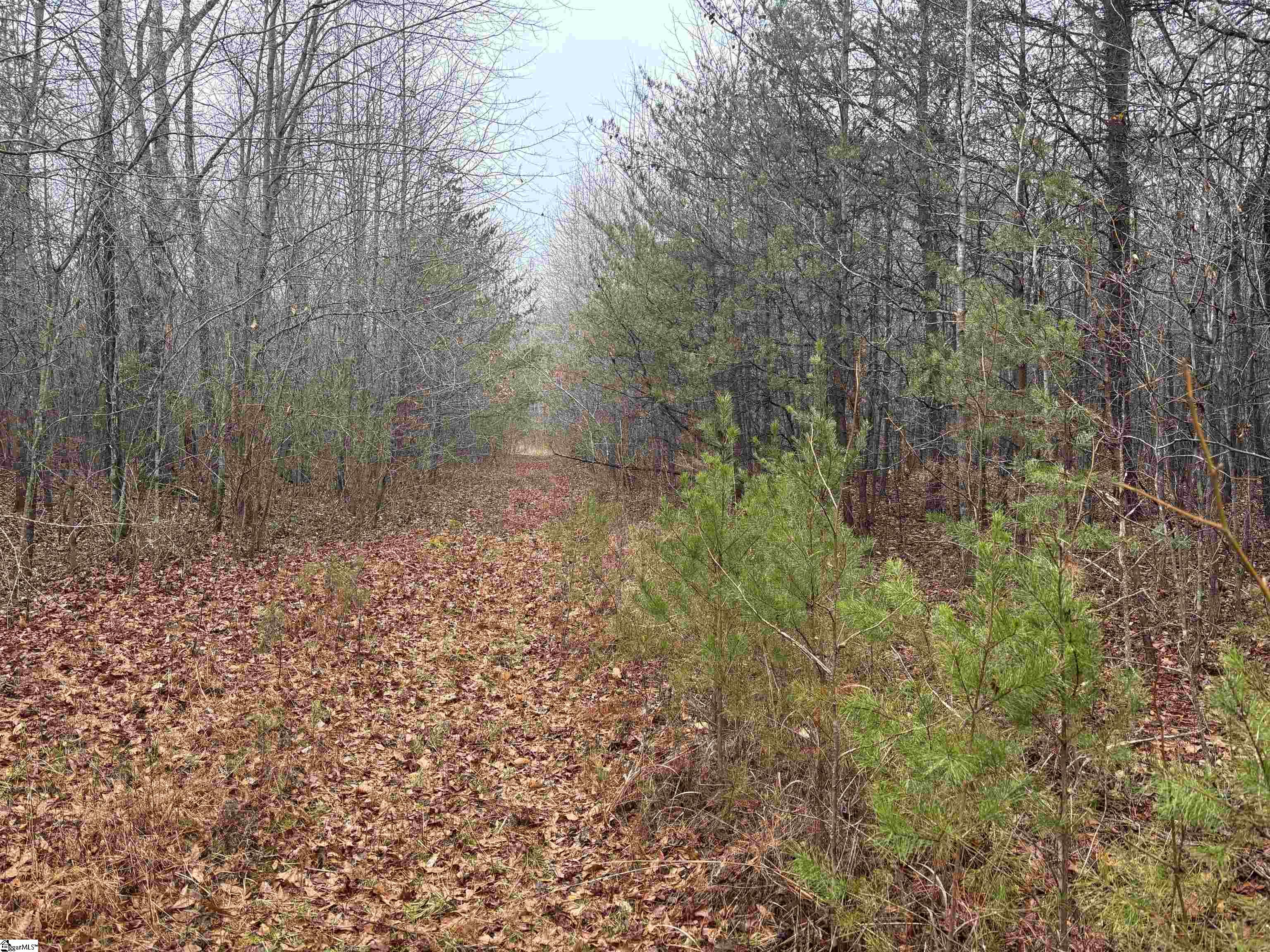 4024 Hwy 414 (acreage Property Photo 1