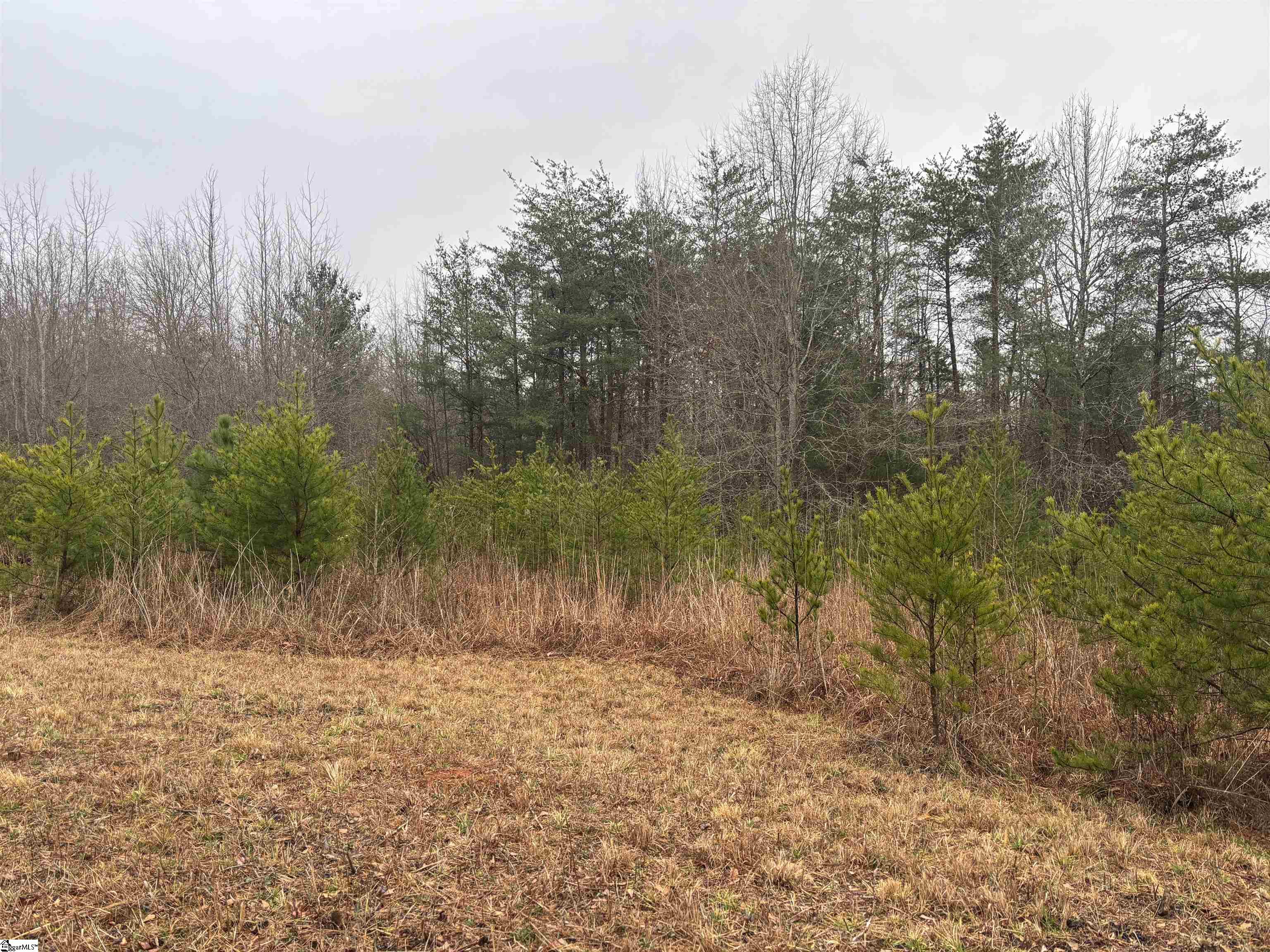 4024 Hwy 414 (acreage Property Photo 2