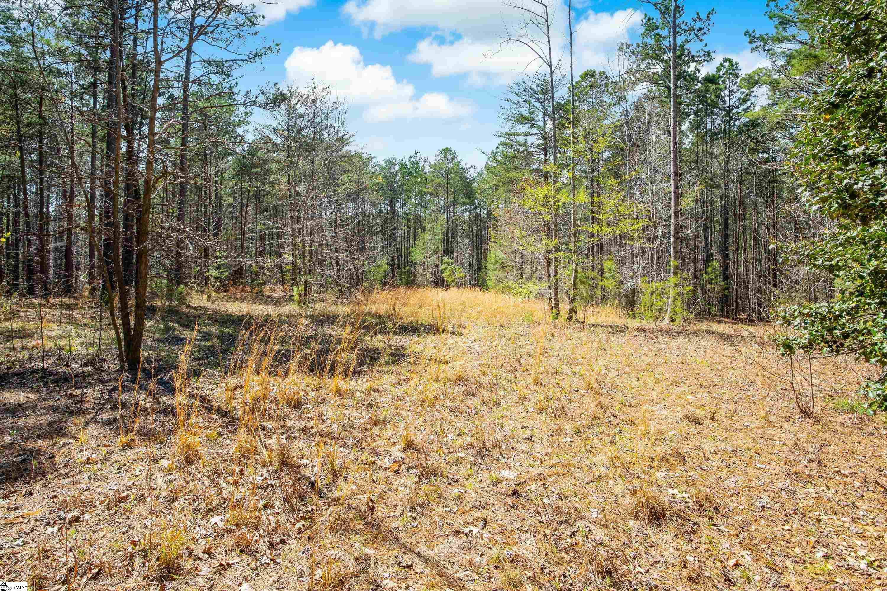 23b Big Jake Pass Property Photo 7