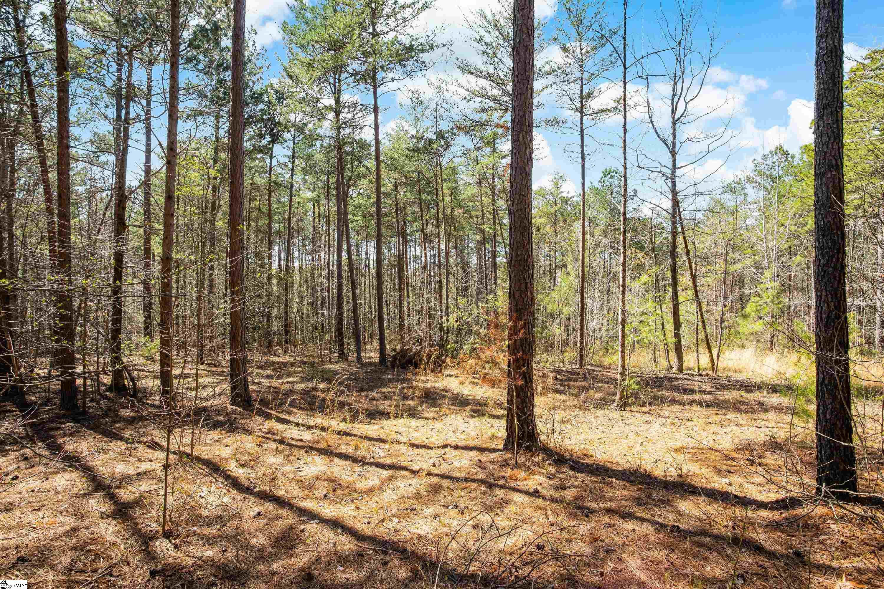 23b Big Jake Pass Property Photo 10