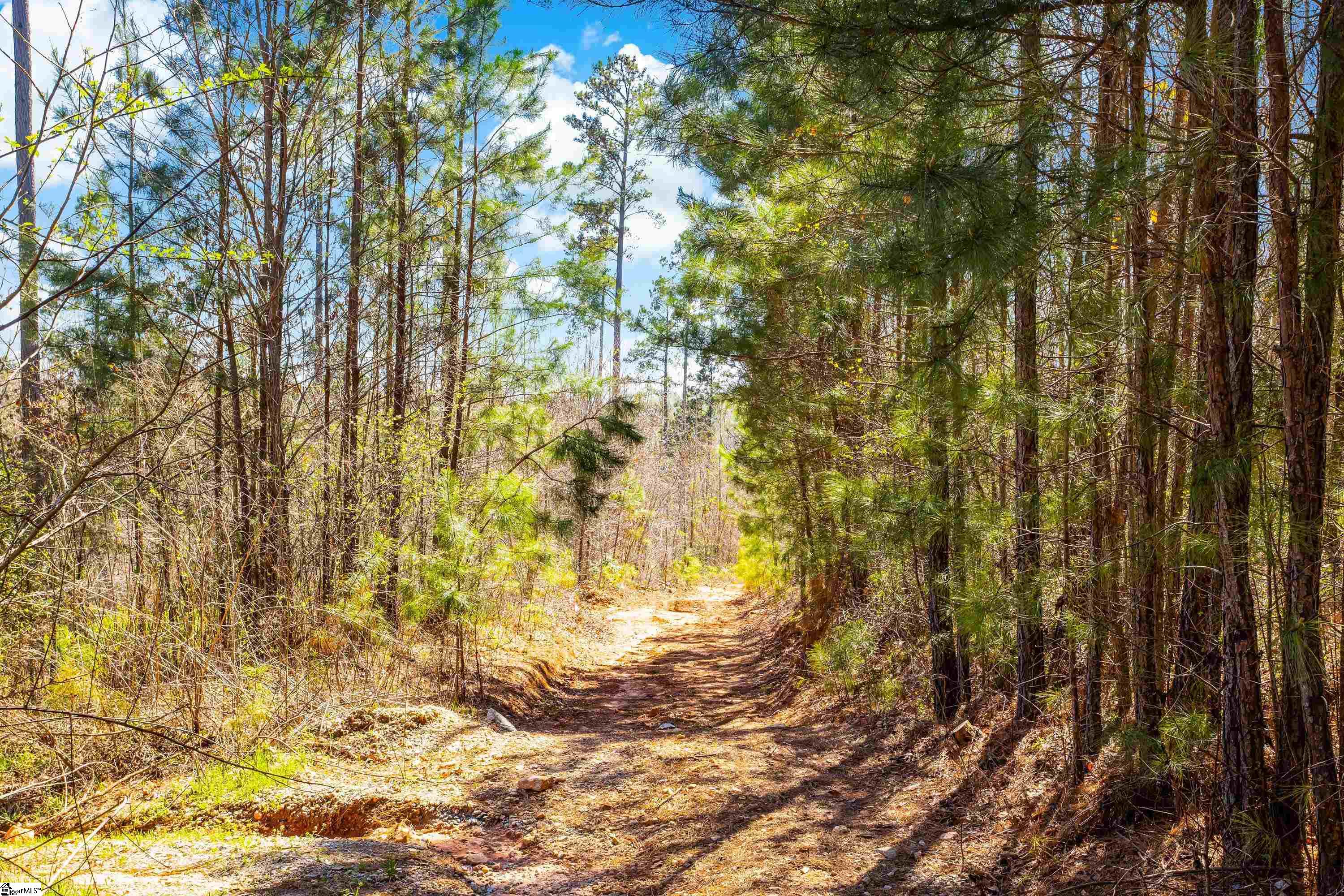 23b Big Jake Pass Property Photo 11