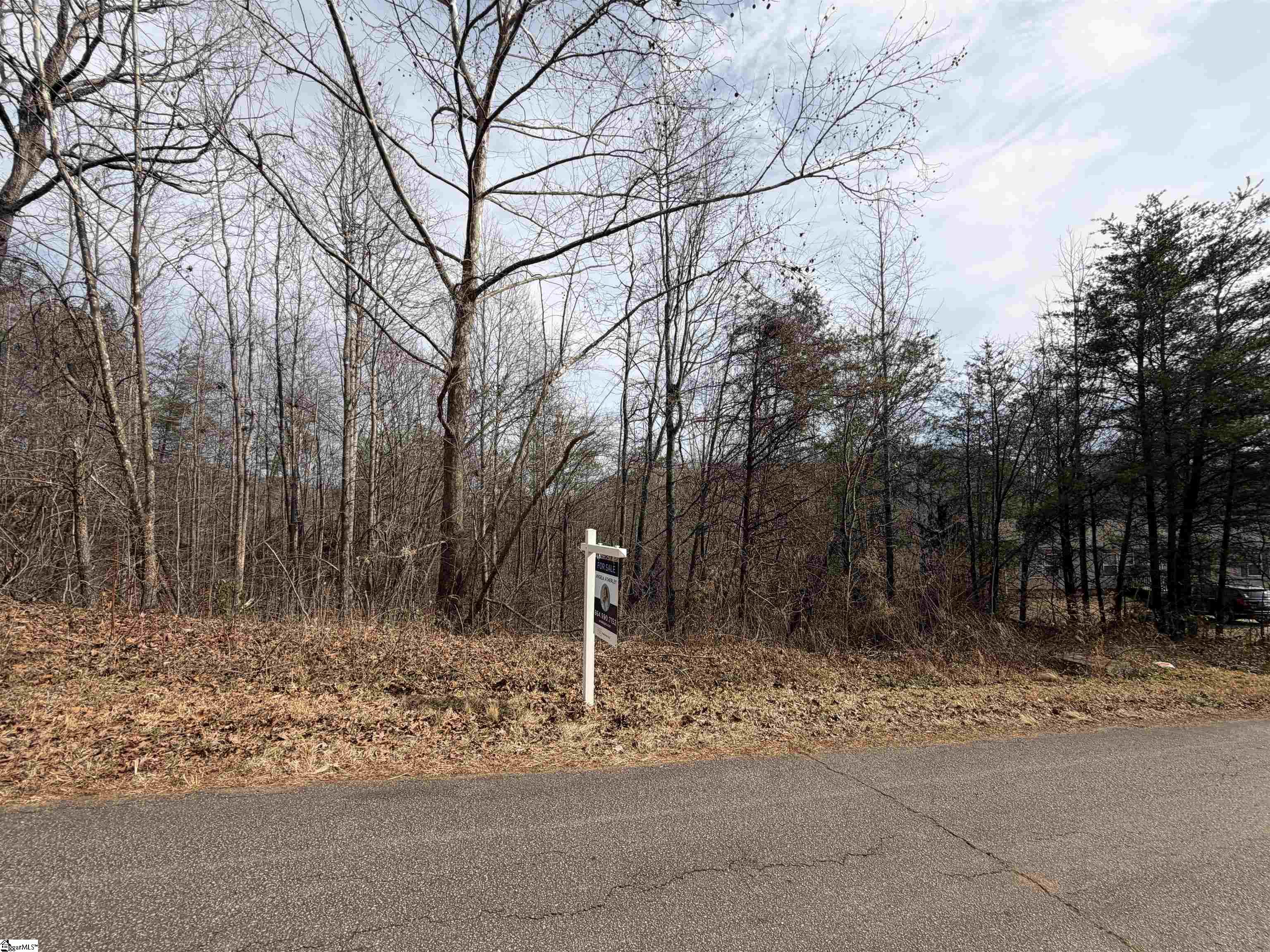 110 Sawmill Road Property Photo 7