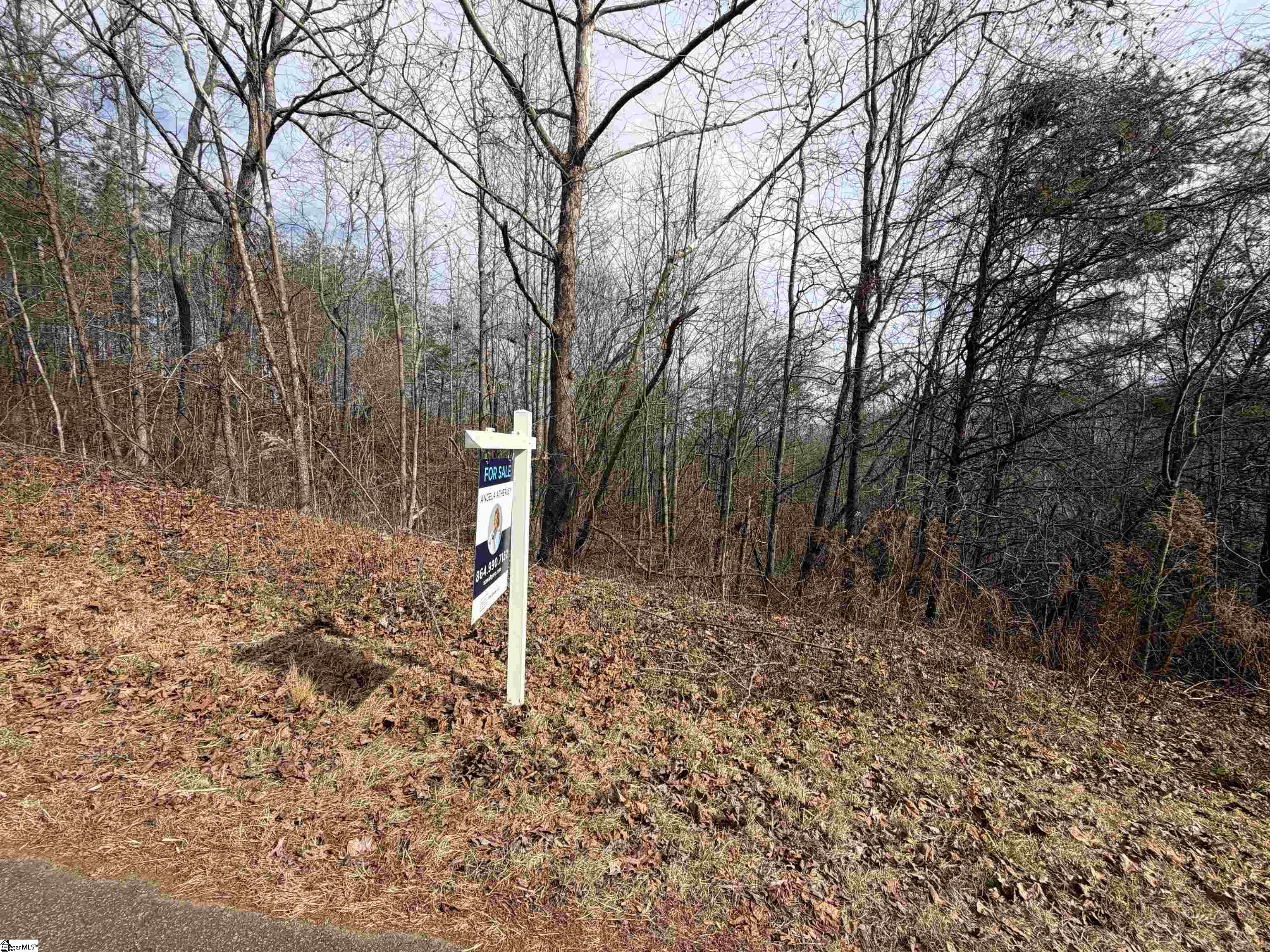 110 Sawmill Road Property Photo 9