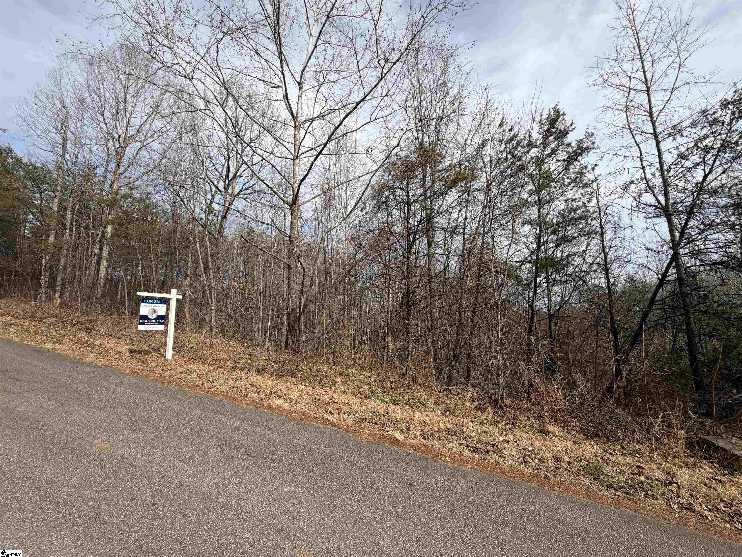 110 Sawmill Road Property Photo 10