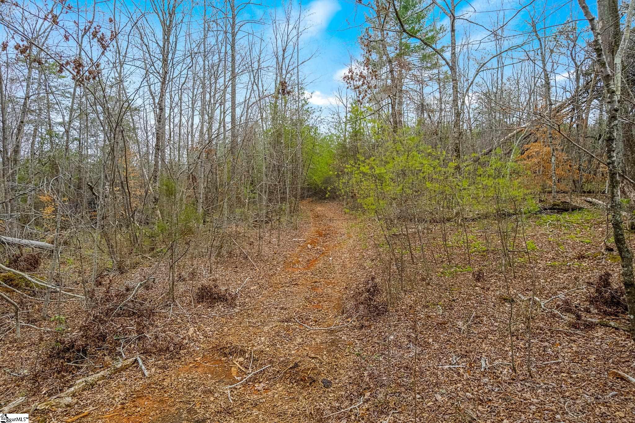 0000028a Tubbs Mountain Road Property Photo 9