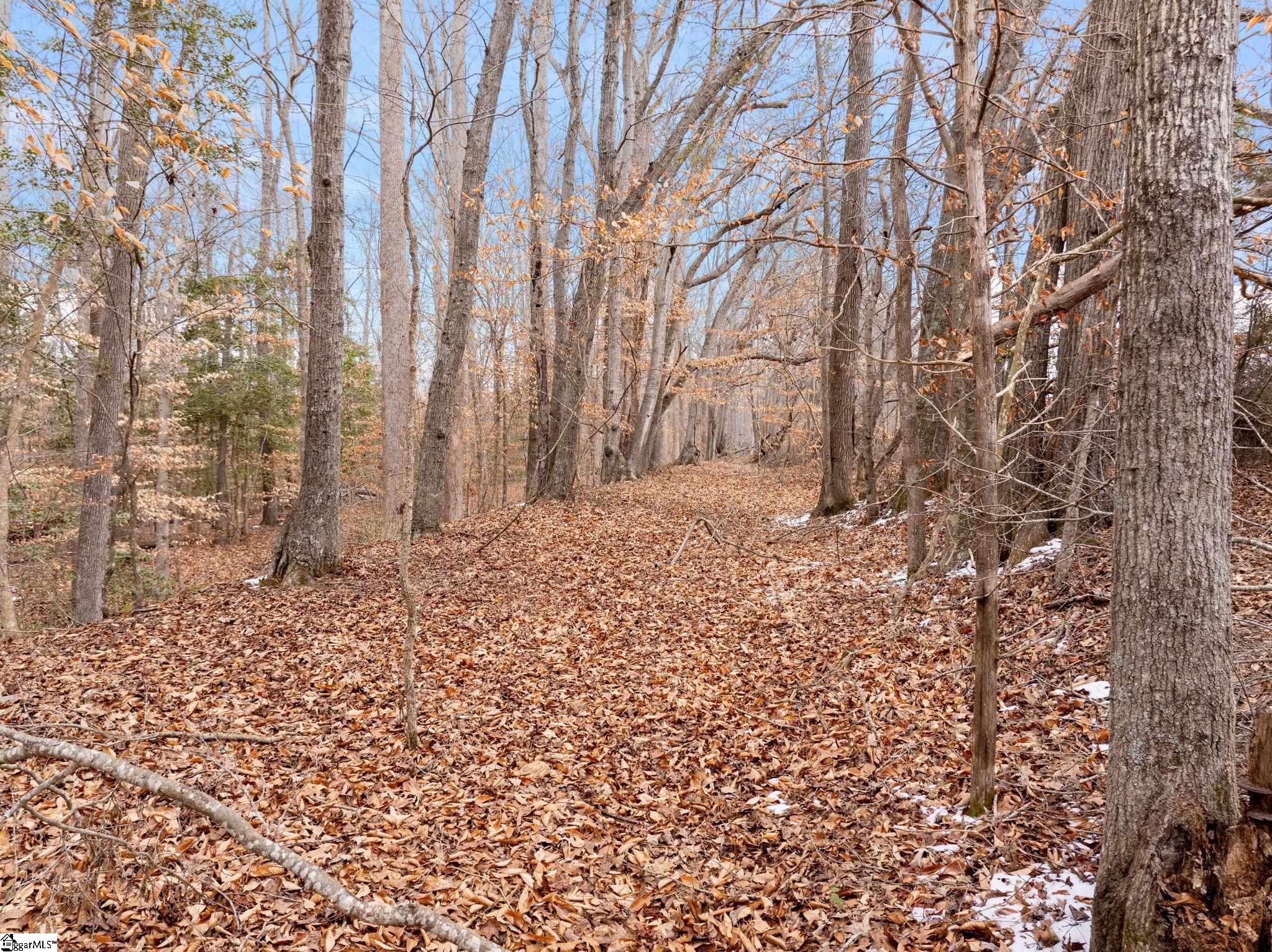1709 River Road Property Photo 15