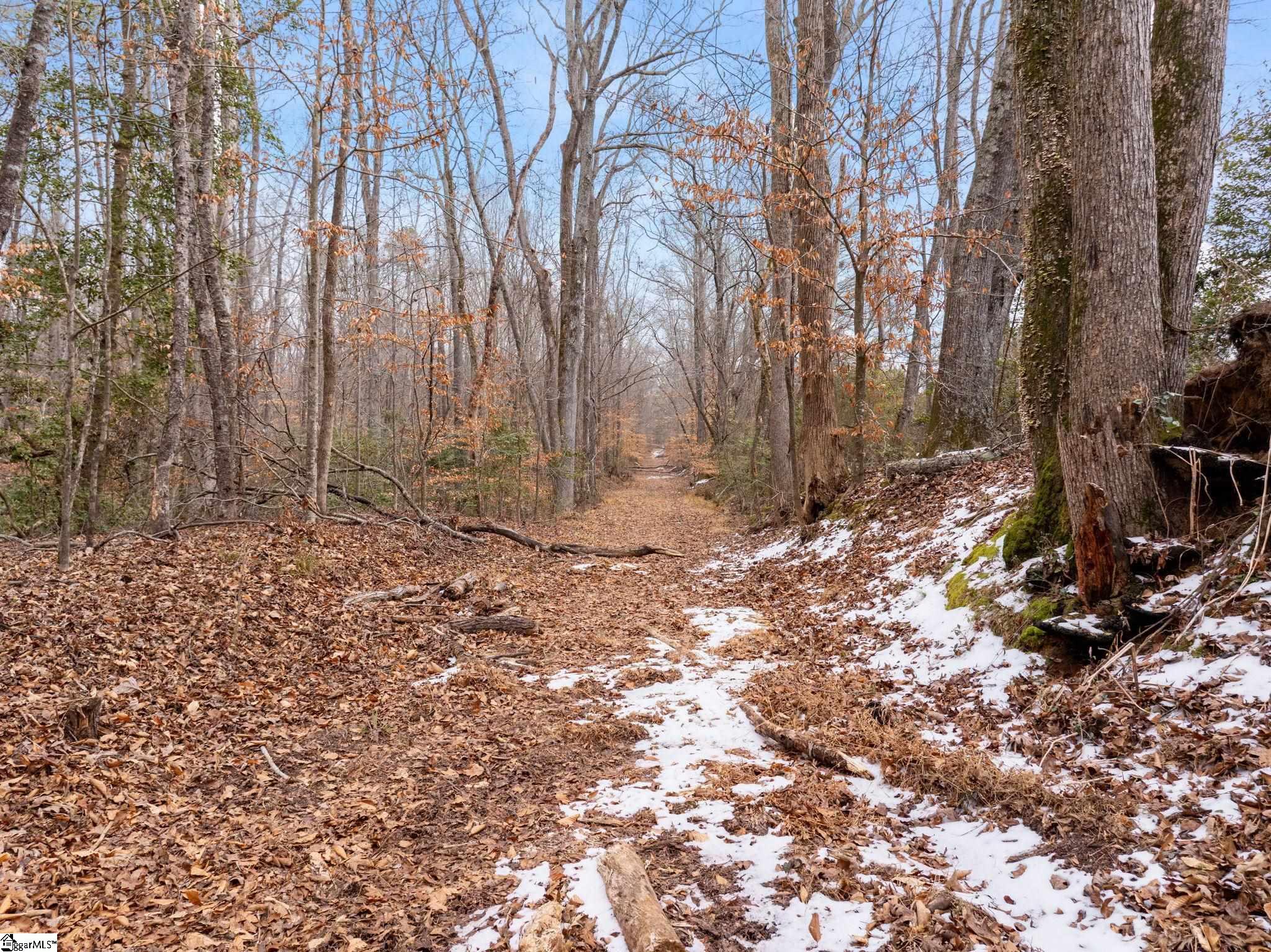 1709 River Road Property Photo 17