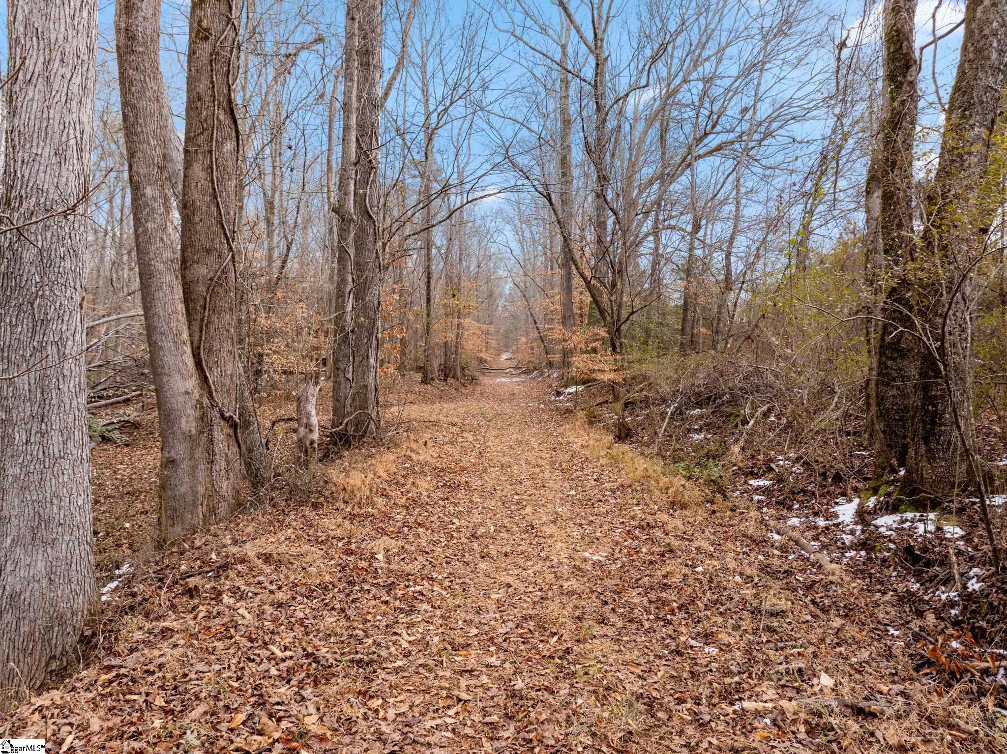 1709 River Road Property Photo 18
