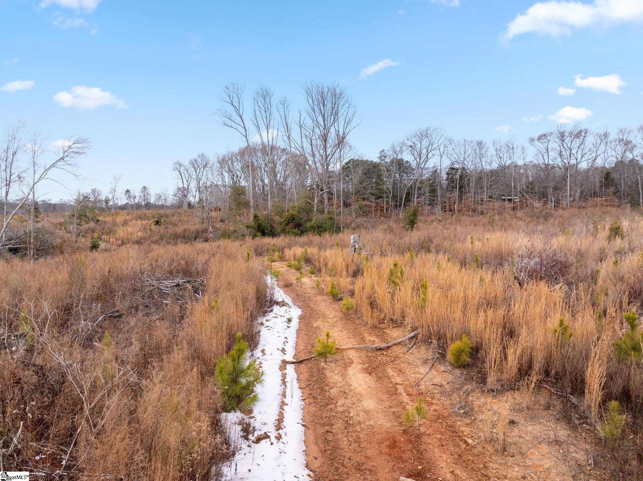 1709 River Road Property Photo 27