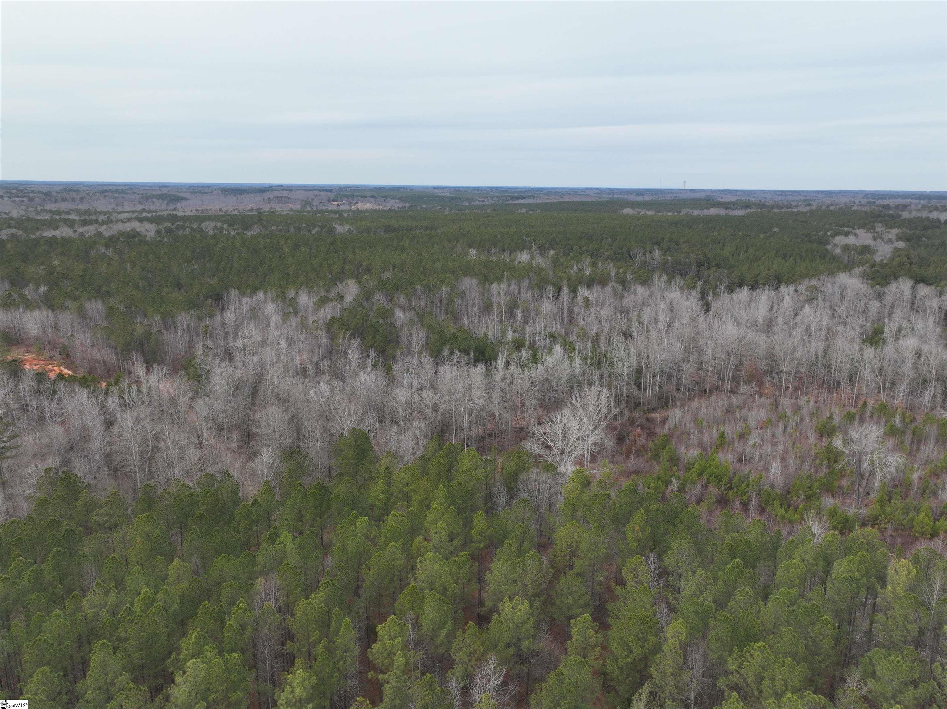 136 Highway 28 S Property Photo 5
