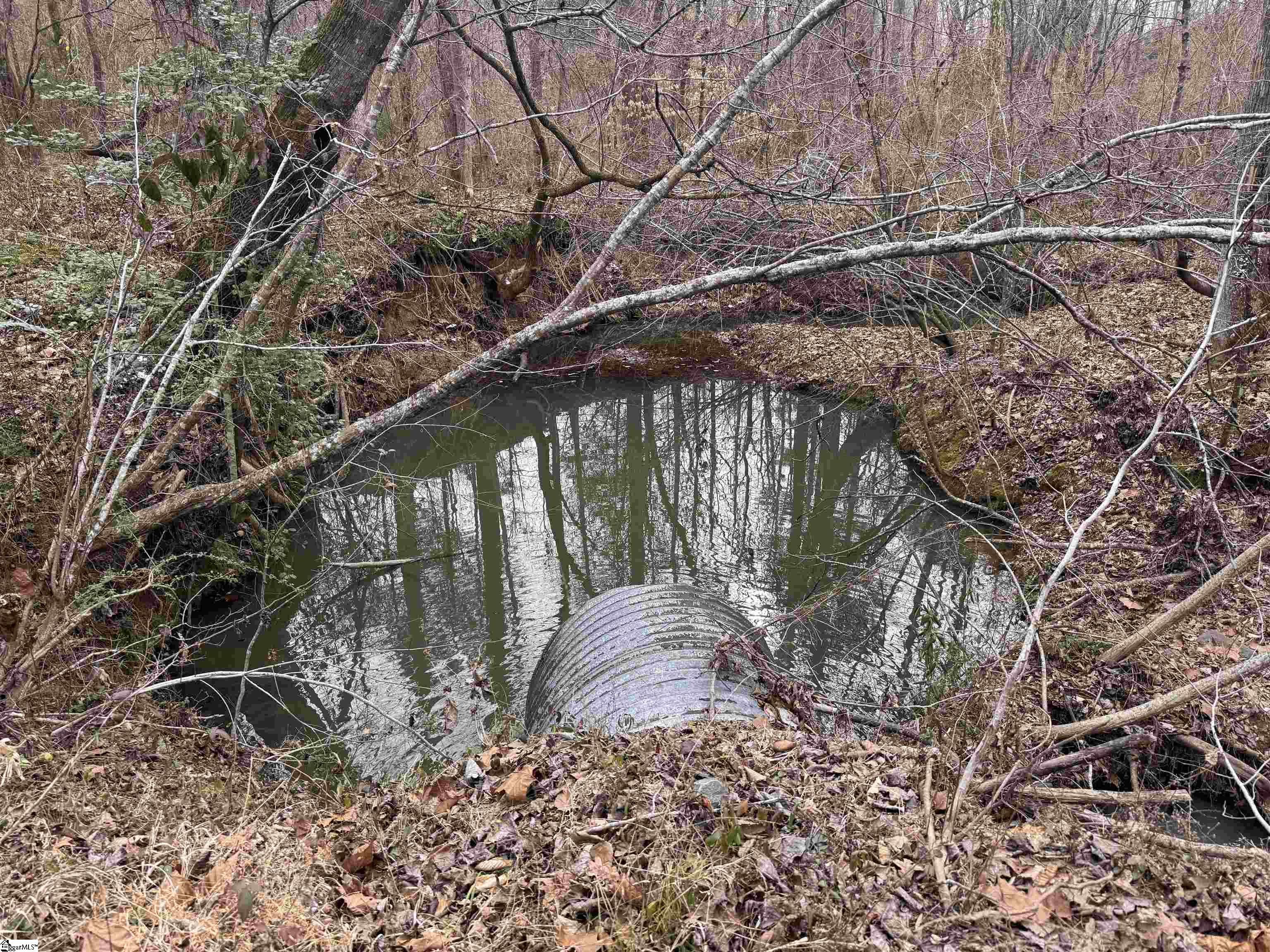 136 Highway 28 S Property Photo 11