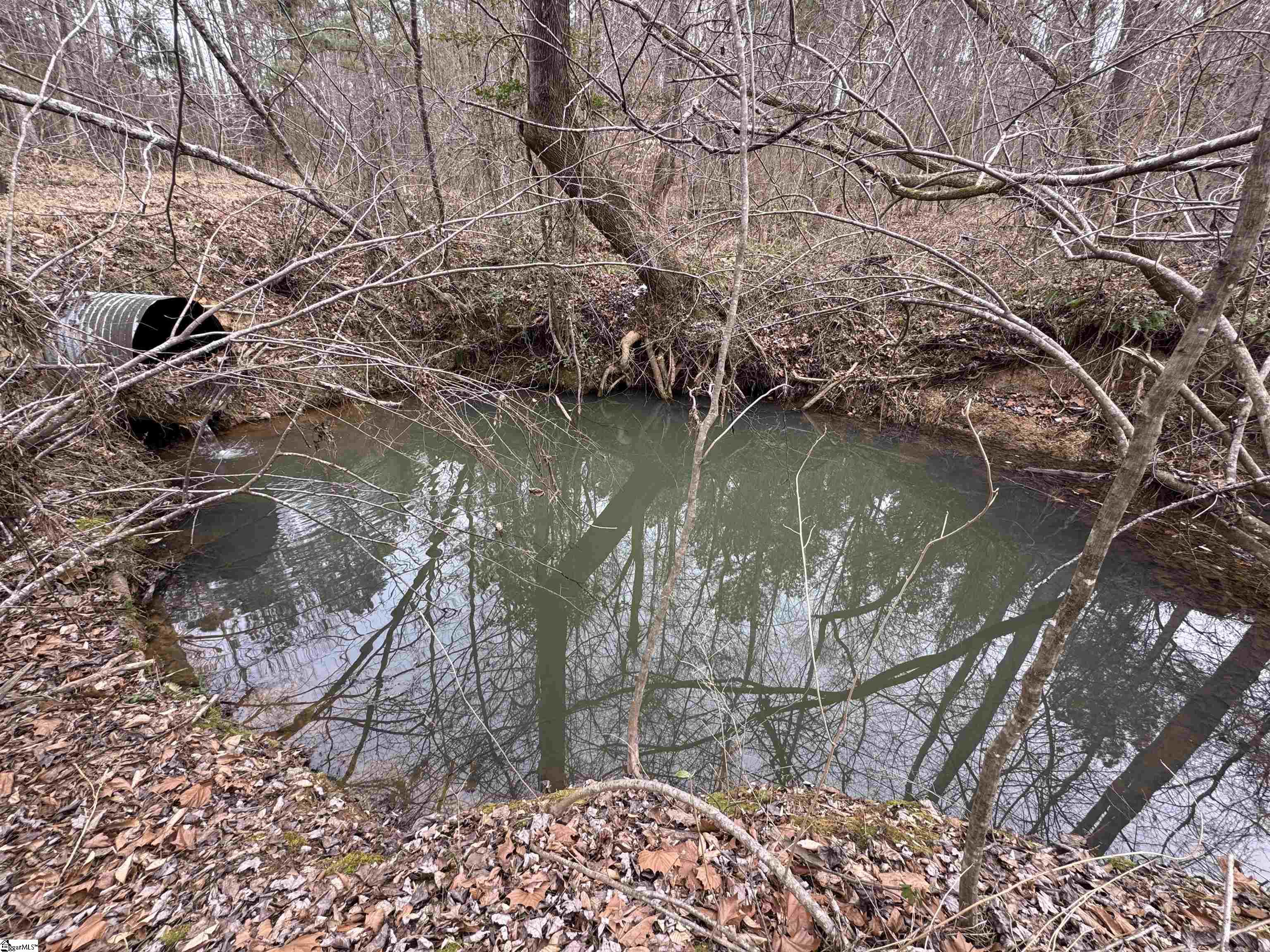 136 Highway 28 S Property Photo 13