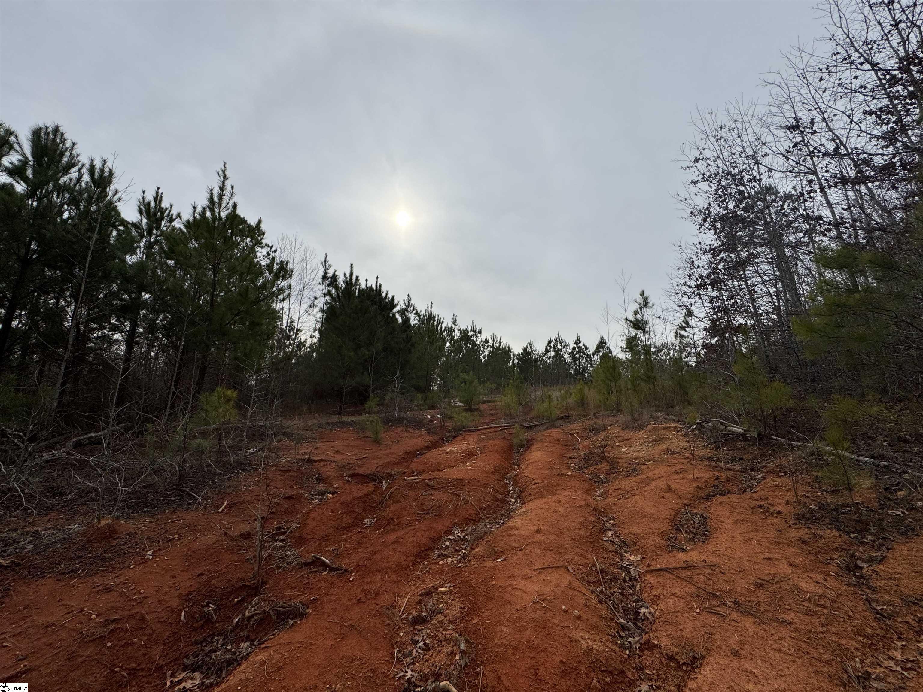 136 Highway 28 S Property Photo 18