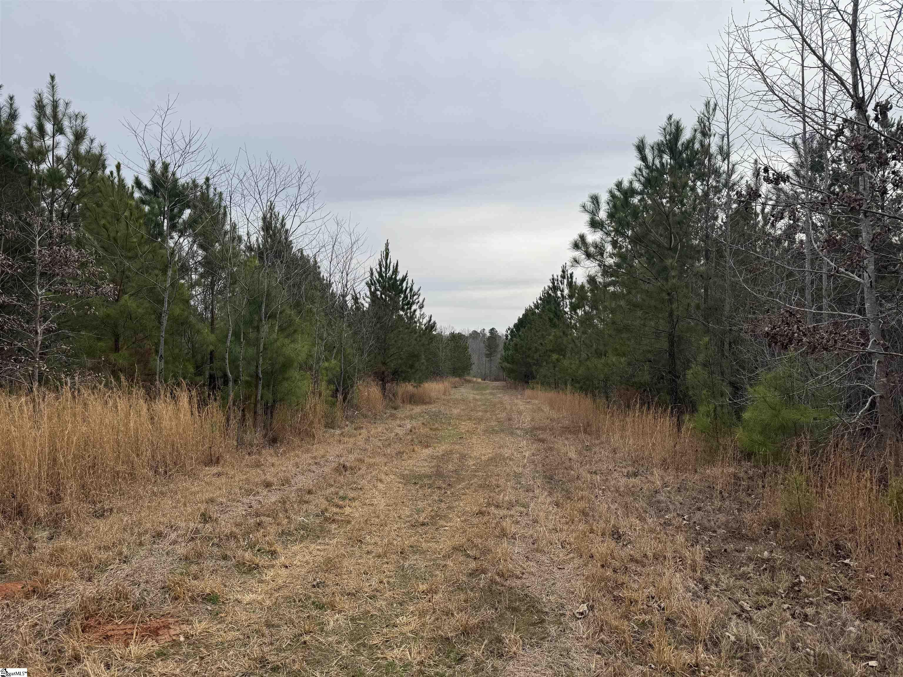 136 Highway 28 S Property Photo 19