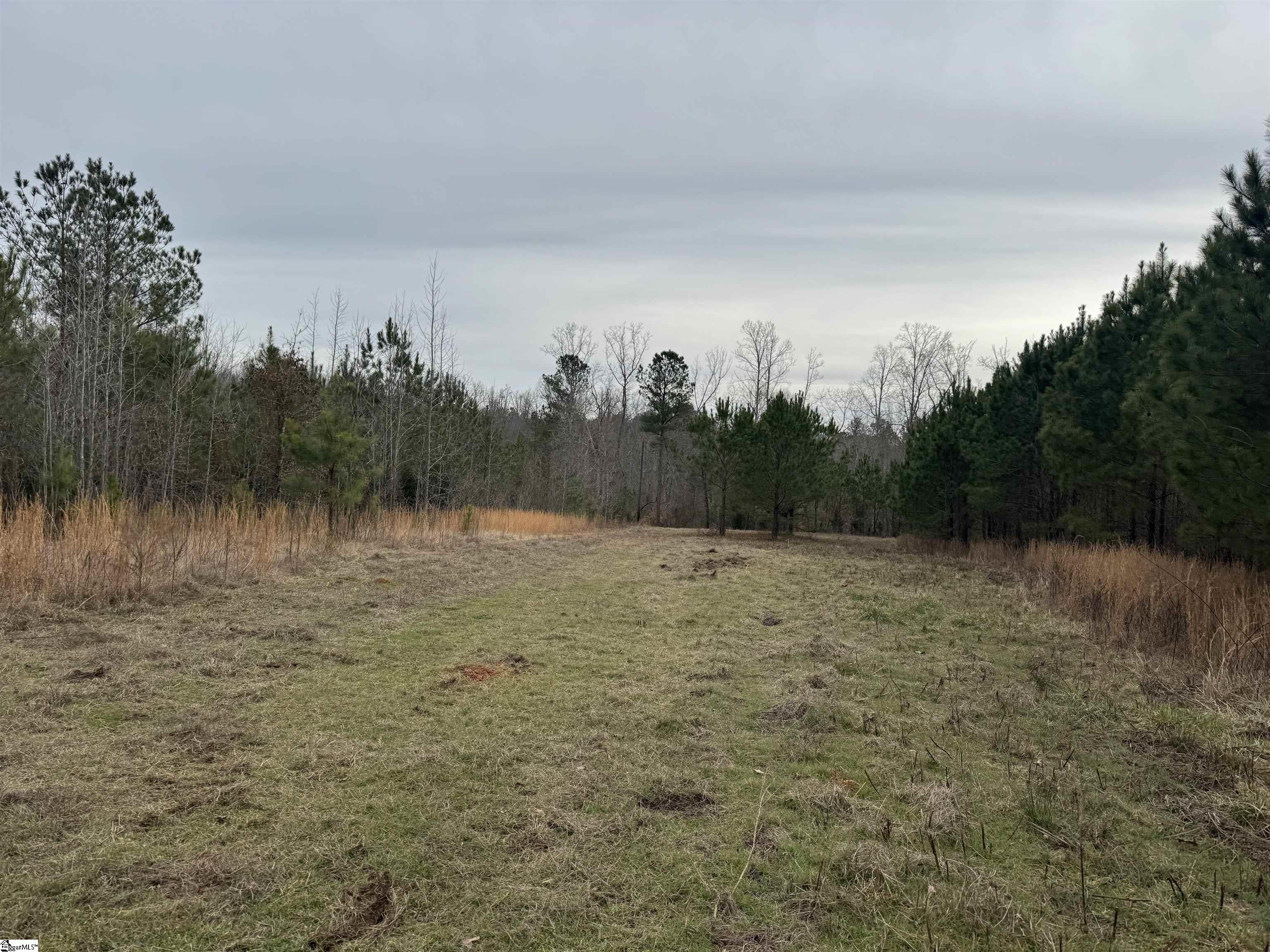 136 Highway 28 S Property Photo 20