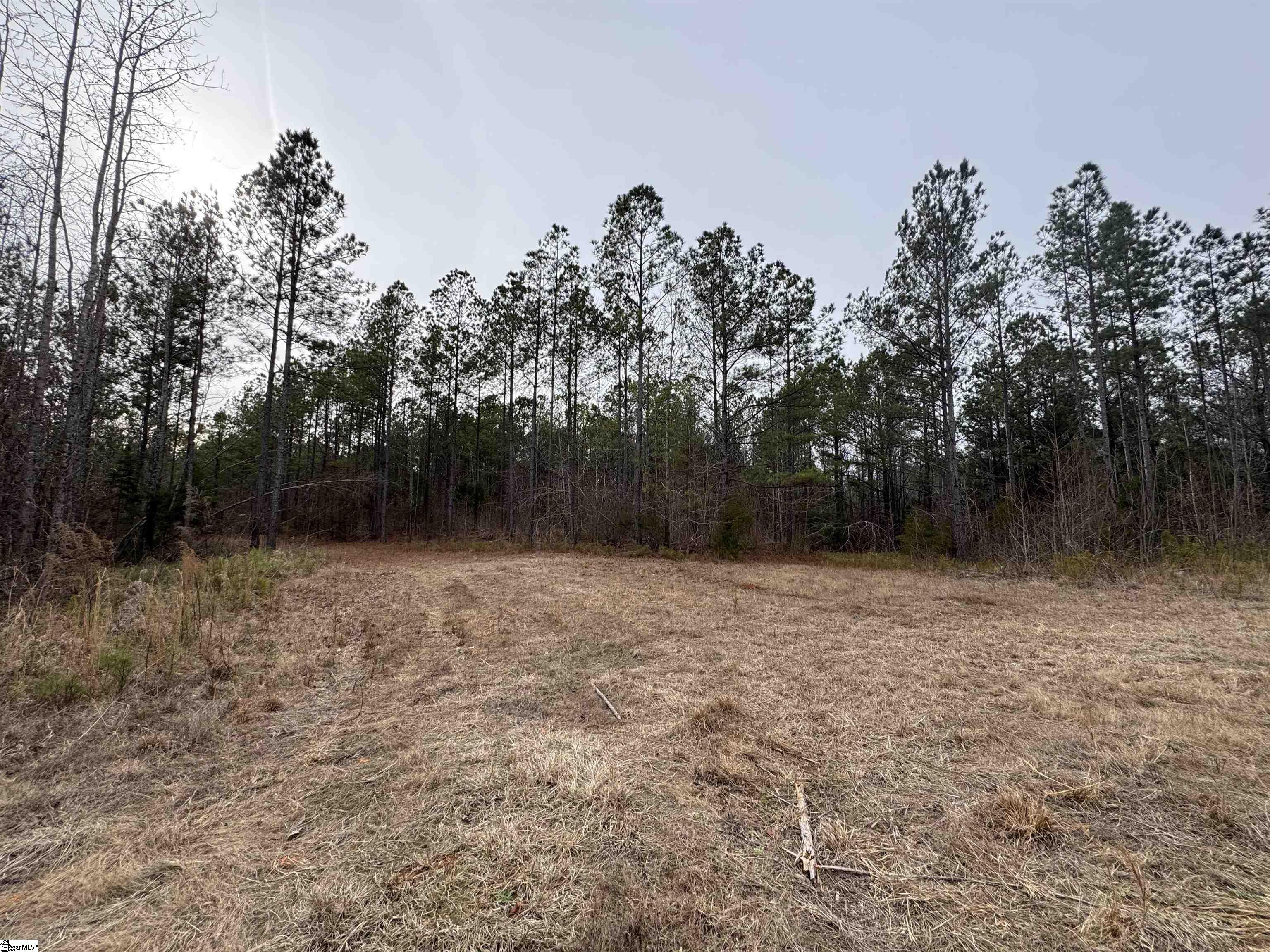 136 Highway 28 S Property Photo 21