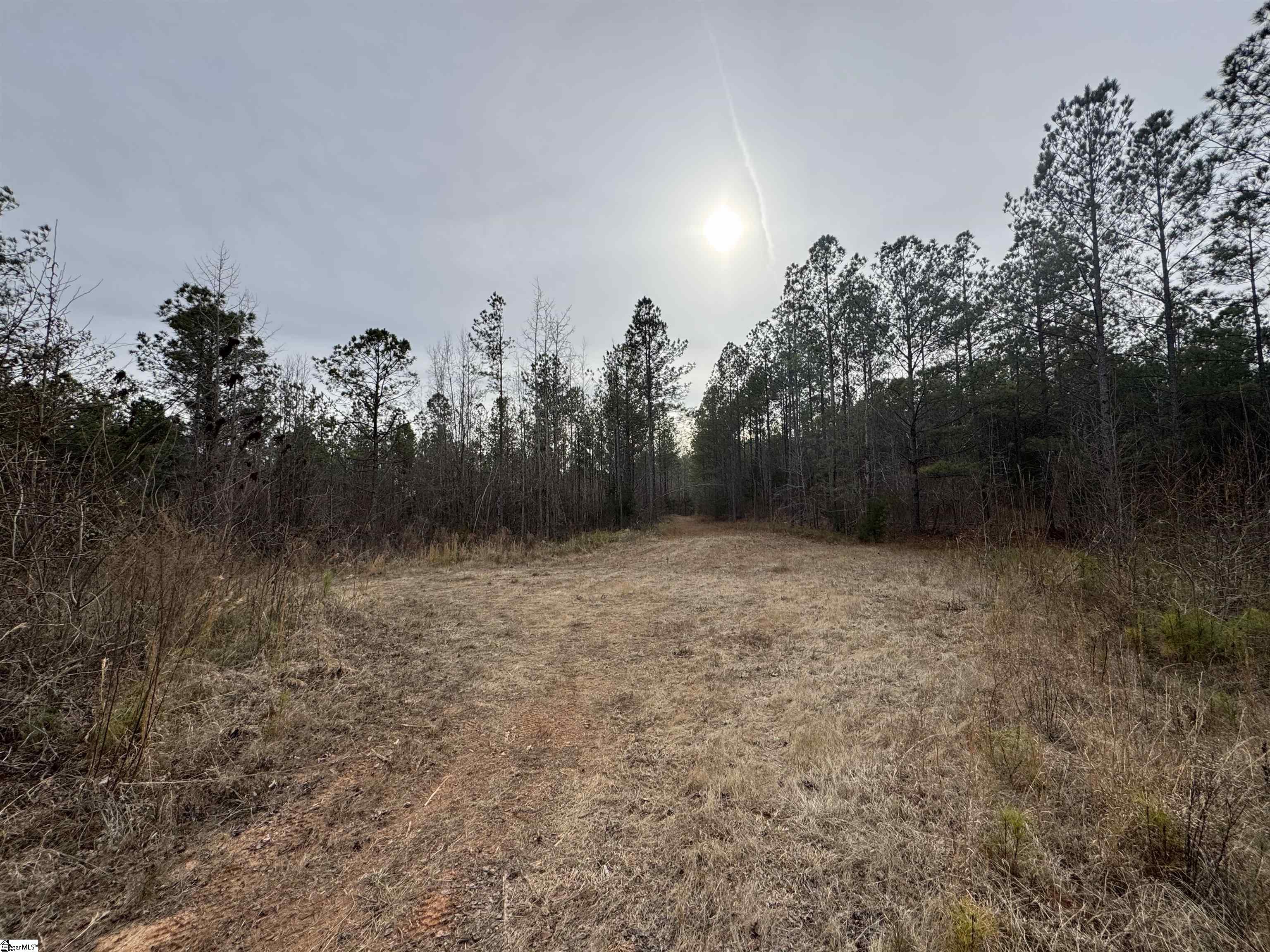 136 Highway 28 S Property Photo 22