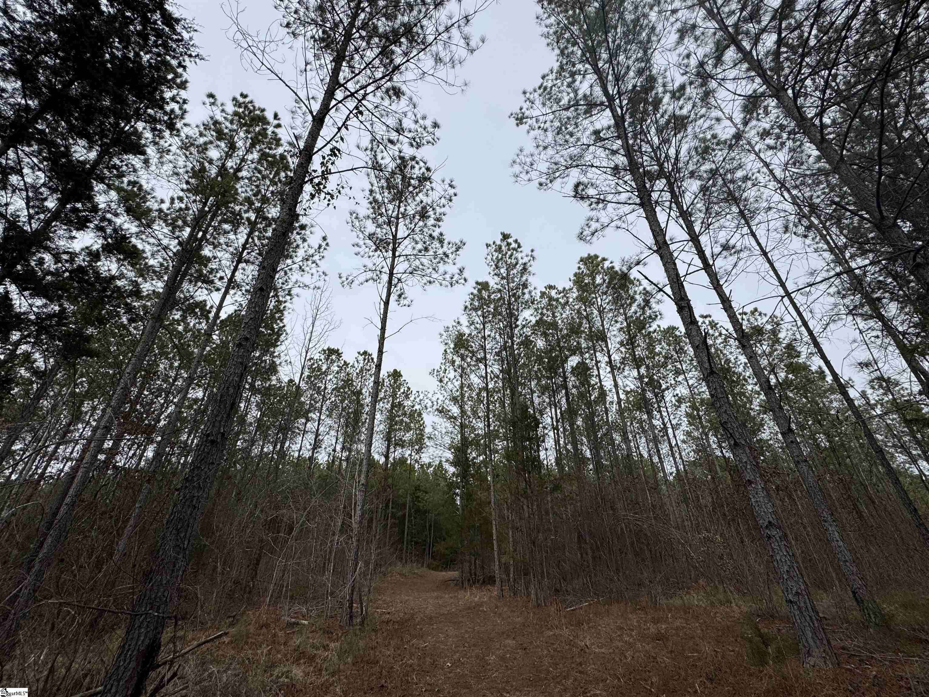 136 Highway 28 S Property Photo 23