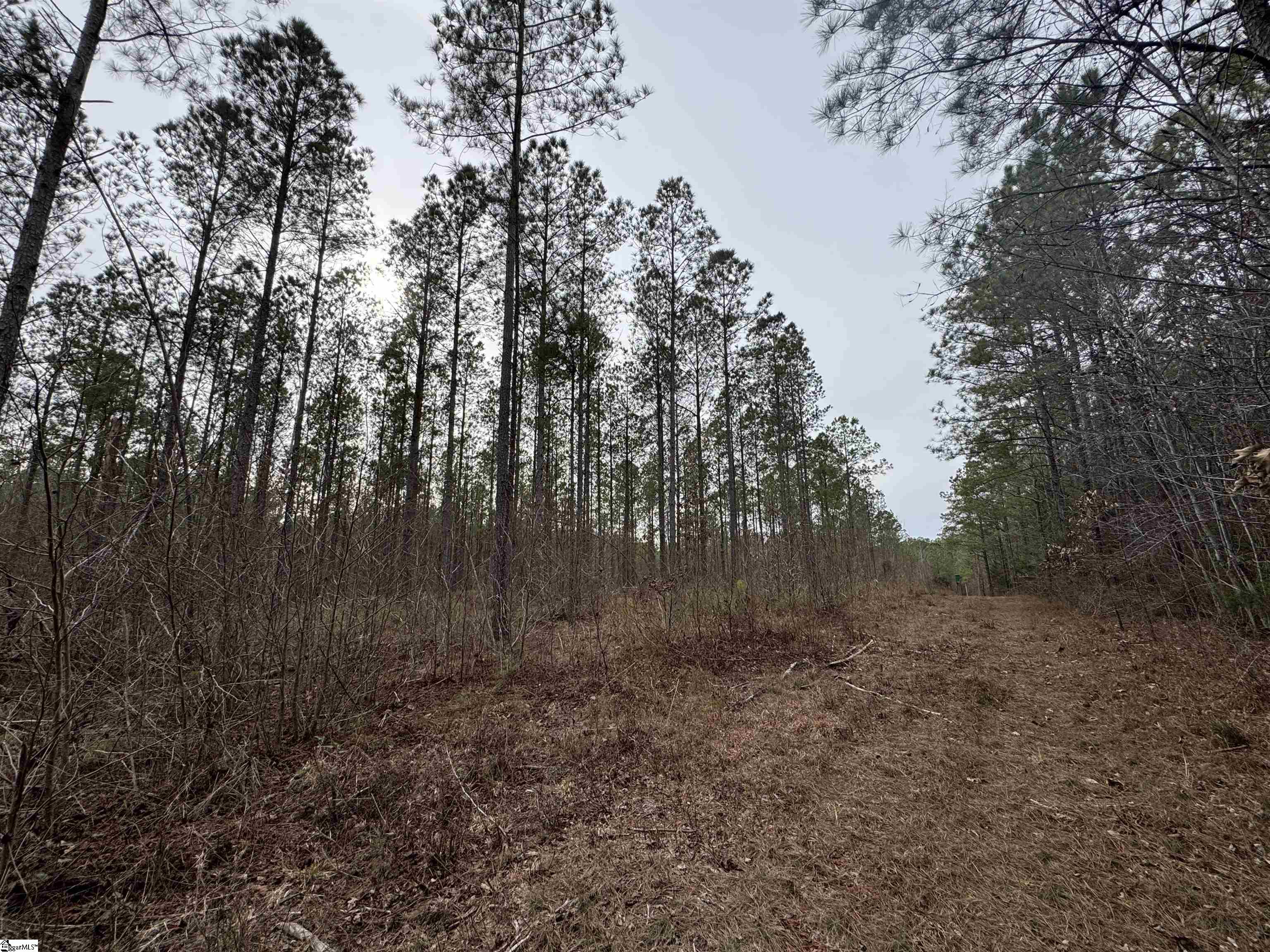 136 Highway 28 S Property Photo 24