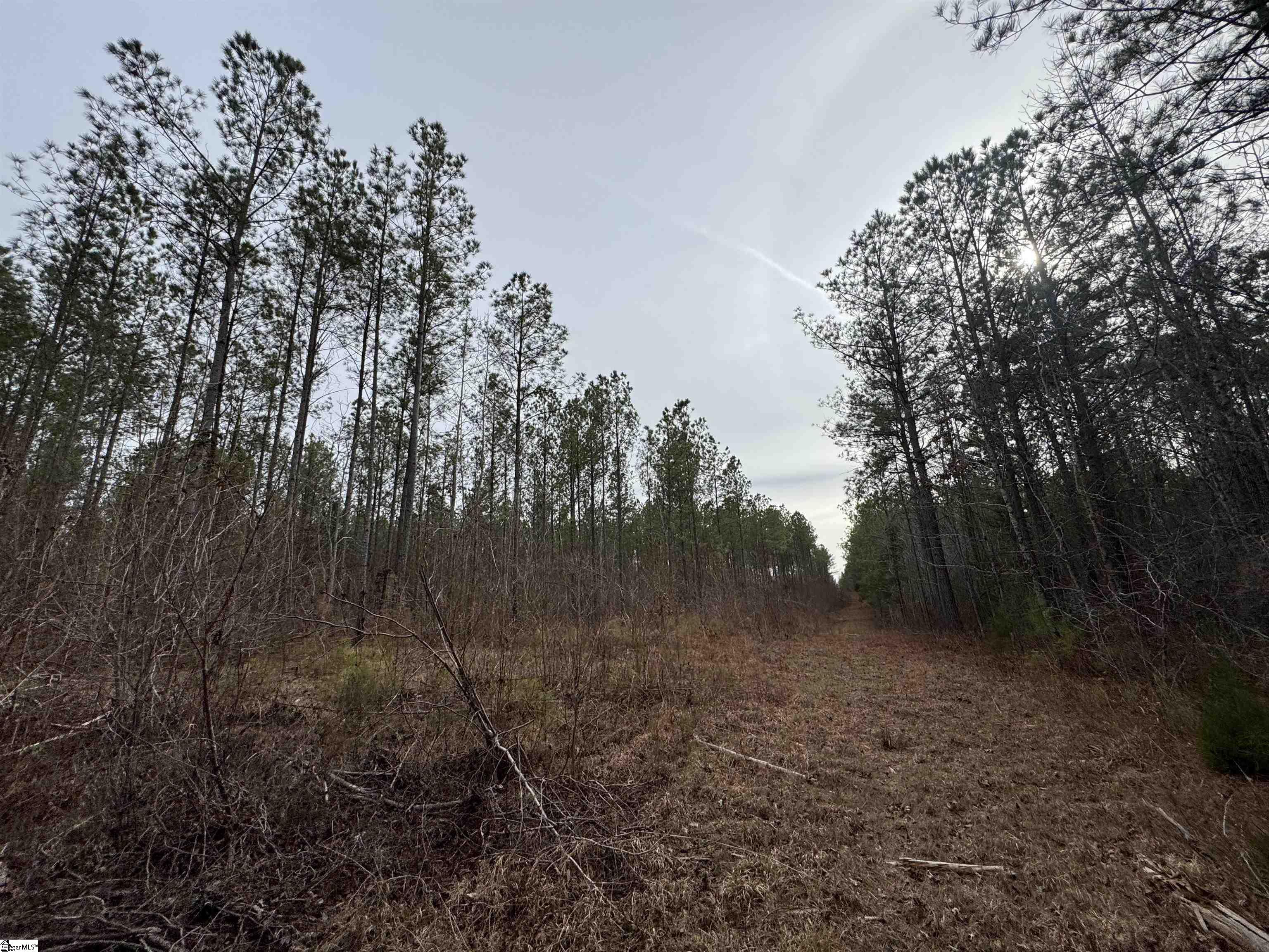 136 Highway 28 S Property Photo 25