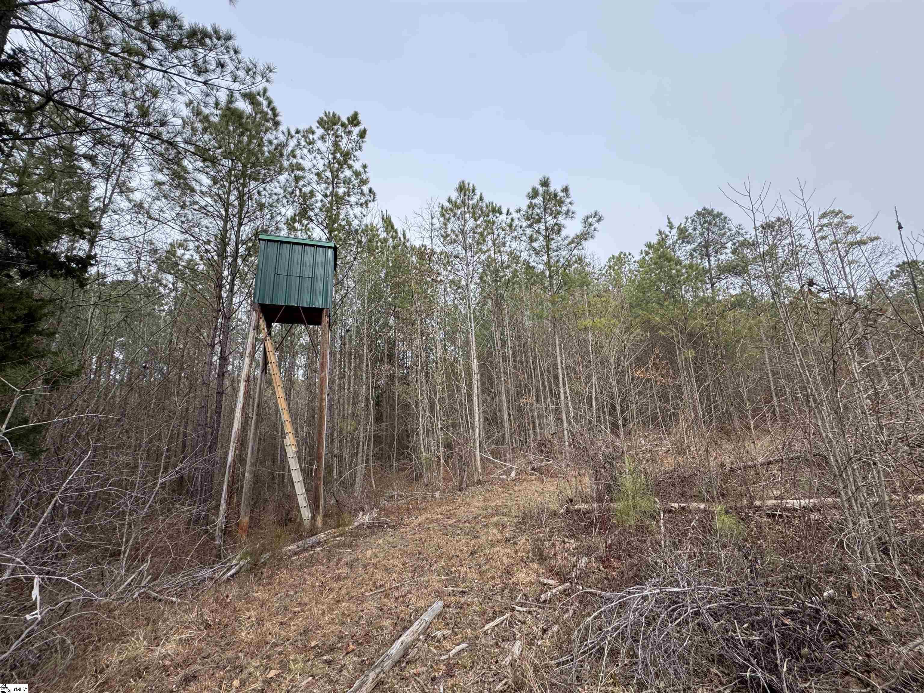 136 Highway 28 S Property Photo 26