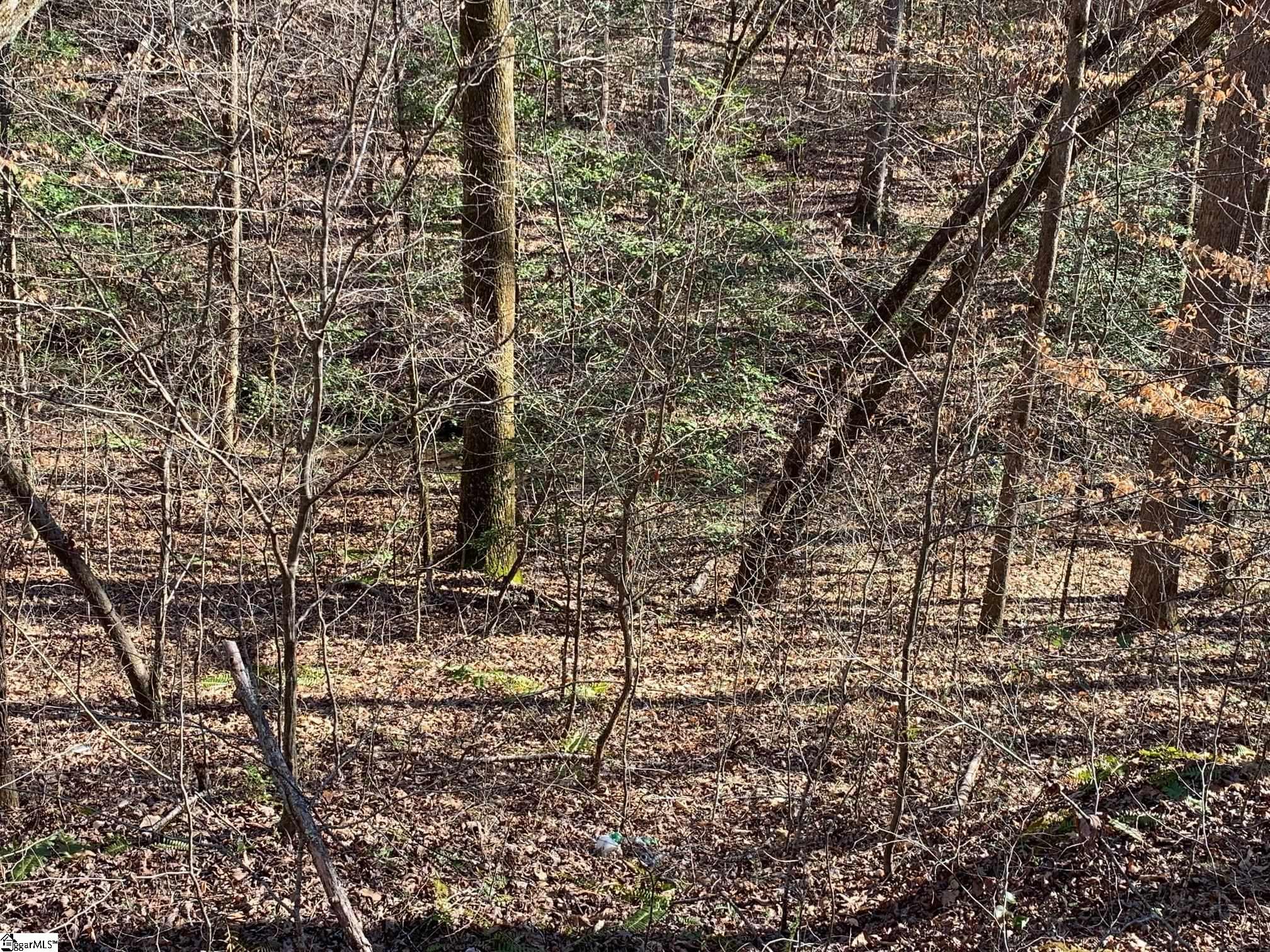 157 Saw Mill Road Property Photo 5