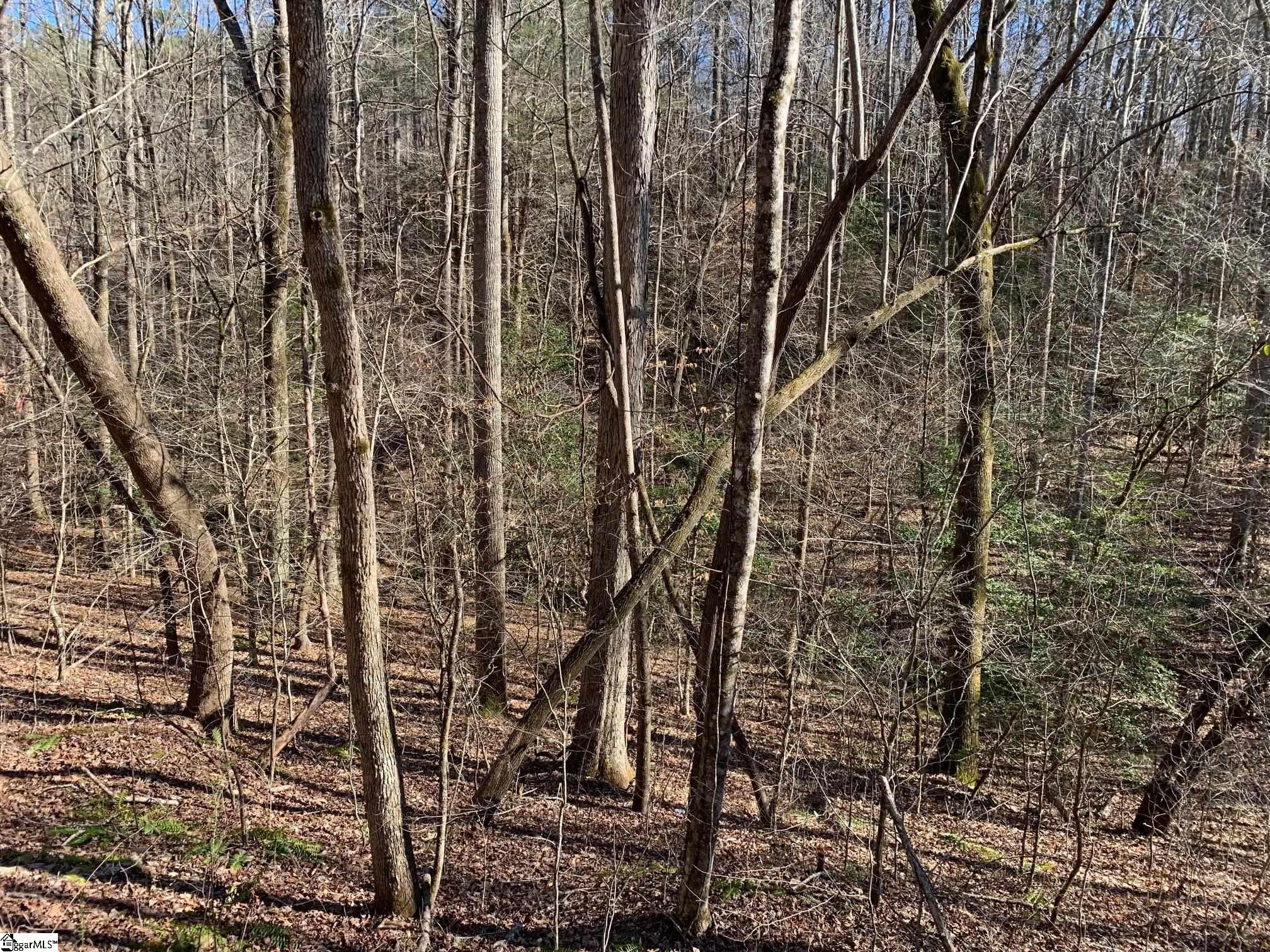 157 Saw Mill Road Property Photo 7