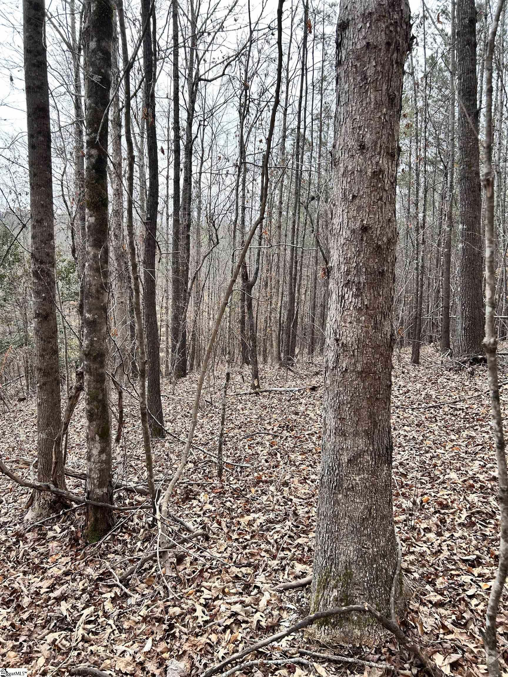 509 Crowe Creek Road Property Photo 2